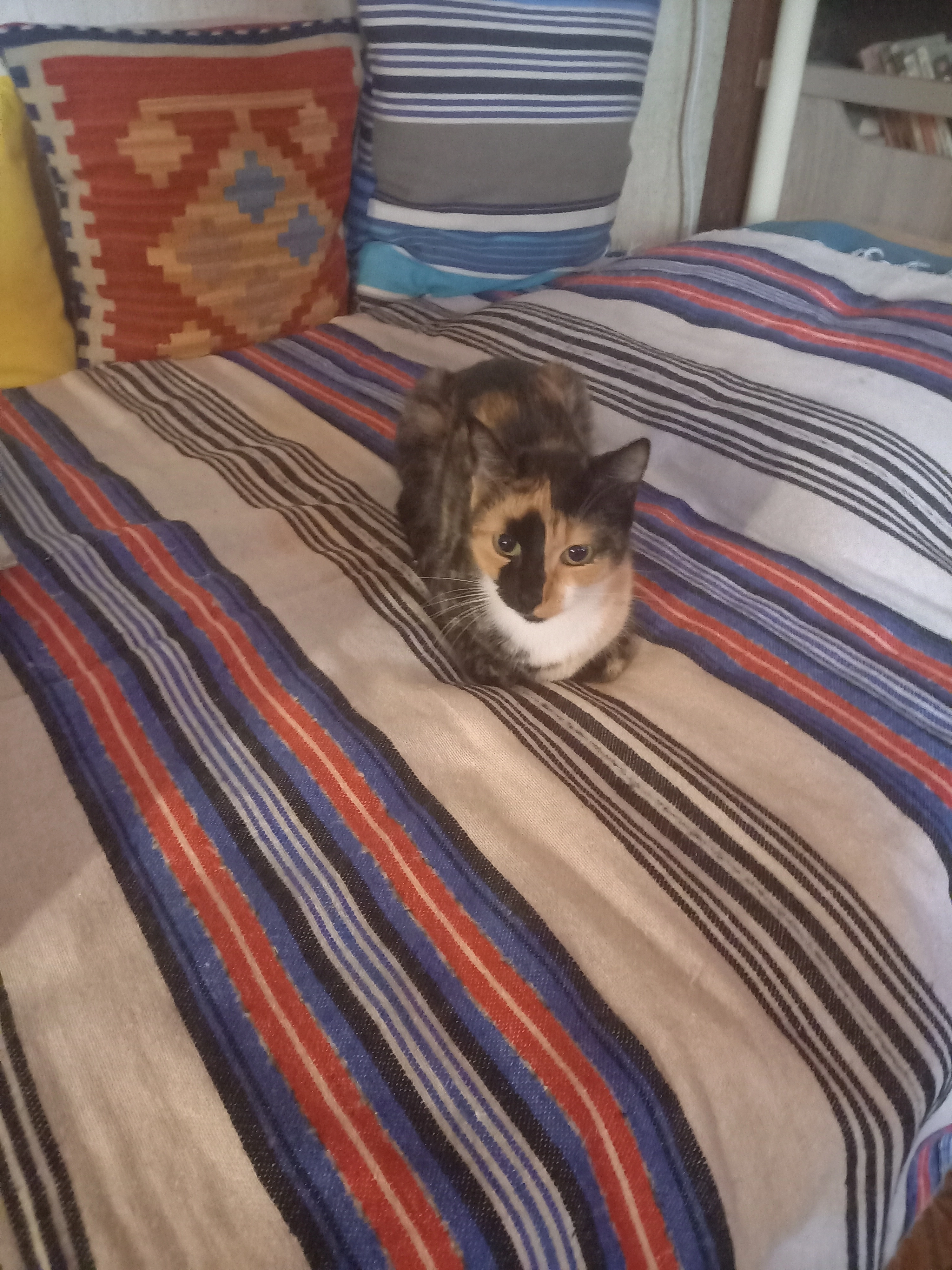 BELLA - Rue Des Tilleuls, Couthures-sur-Garonne