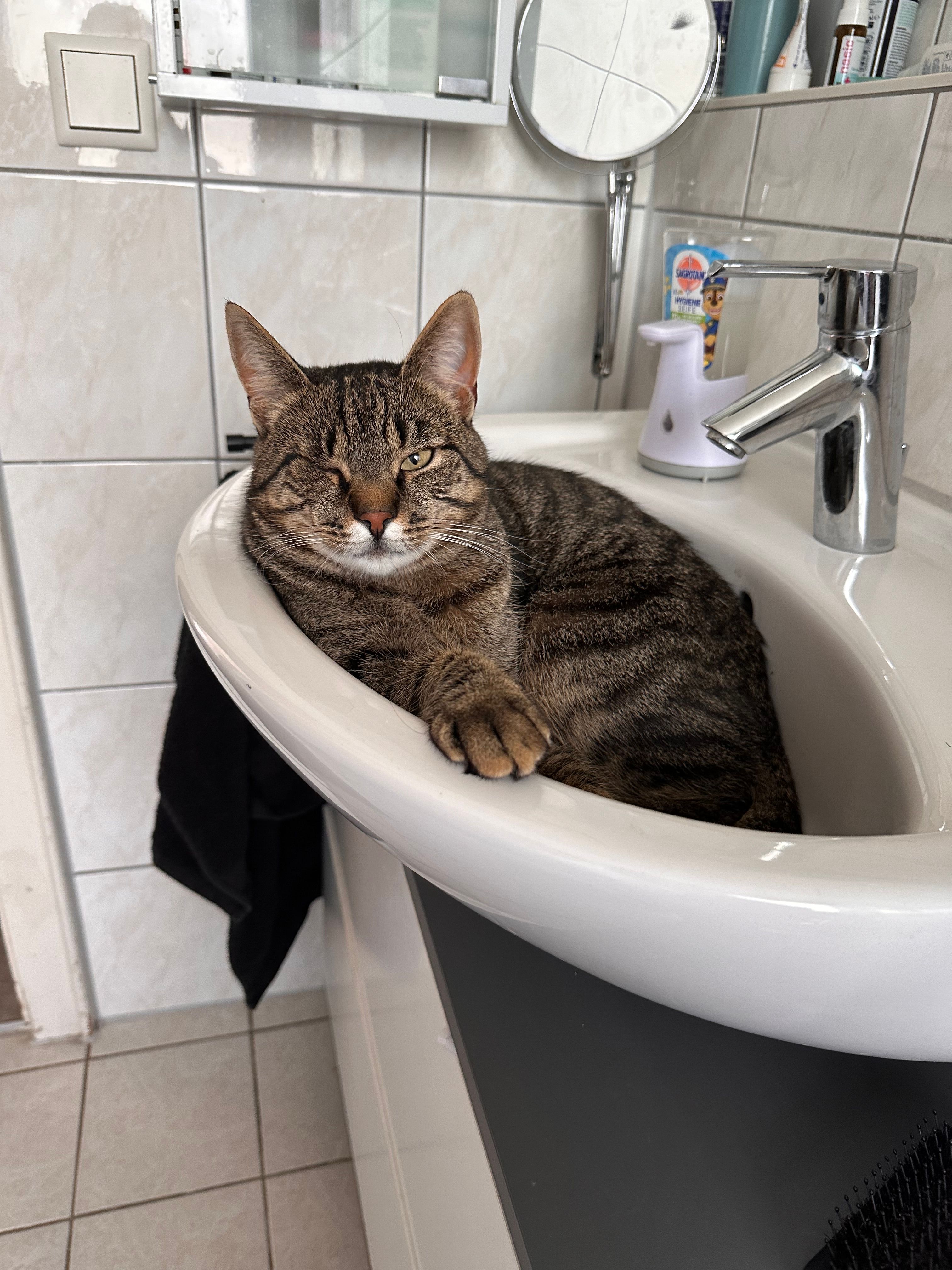 Mausi - Nürnberger Straße, Pommelsbrunn