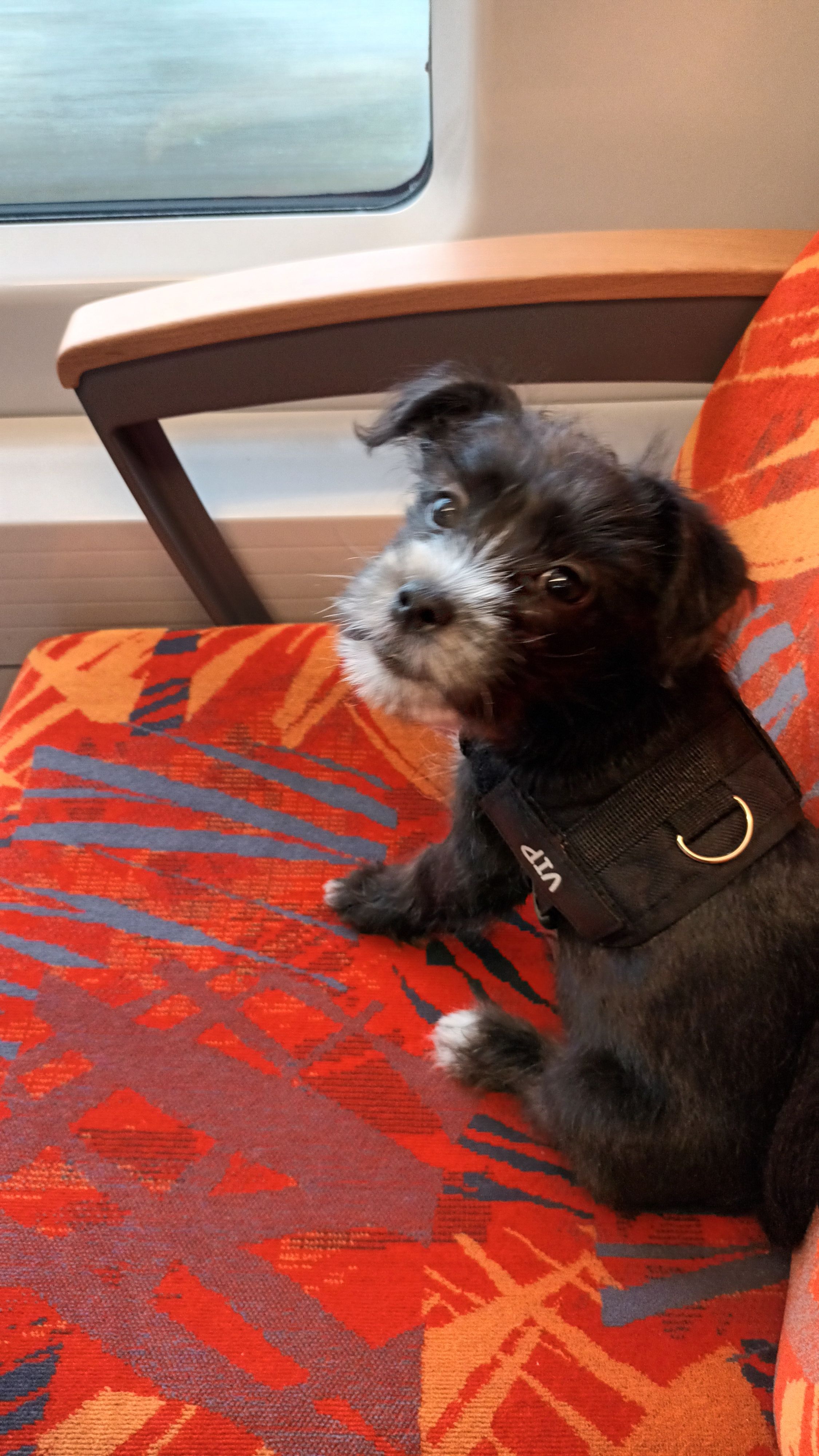 Phagia - Marktplatz, Gießen