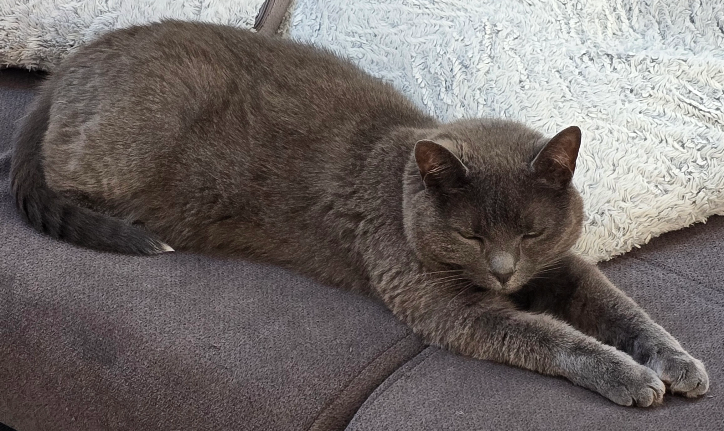 Moumoune  - D 2649, Wargnies-le-Petit