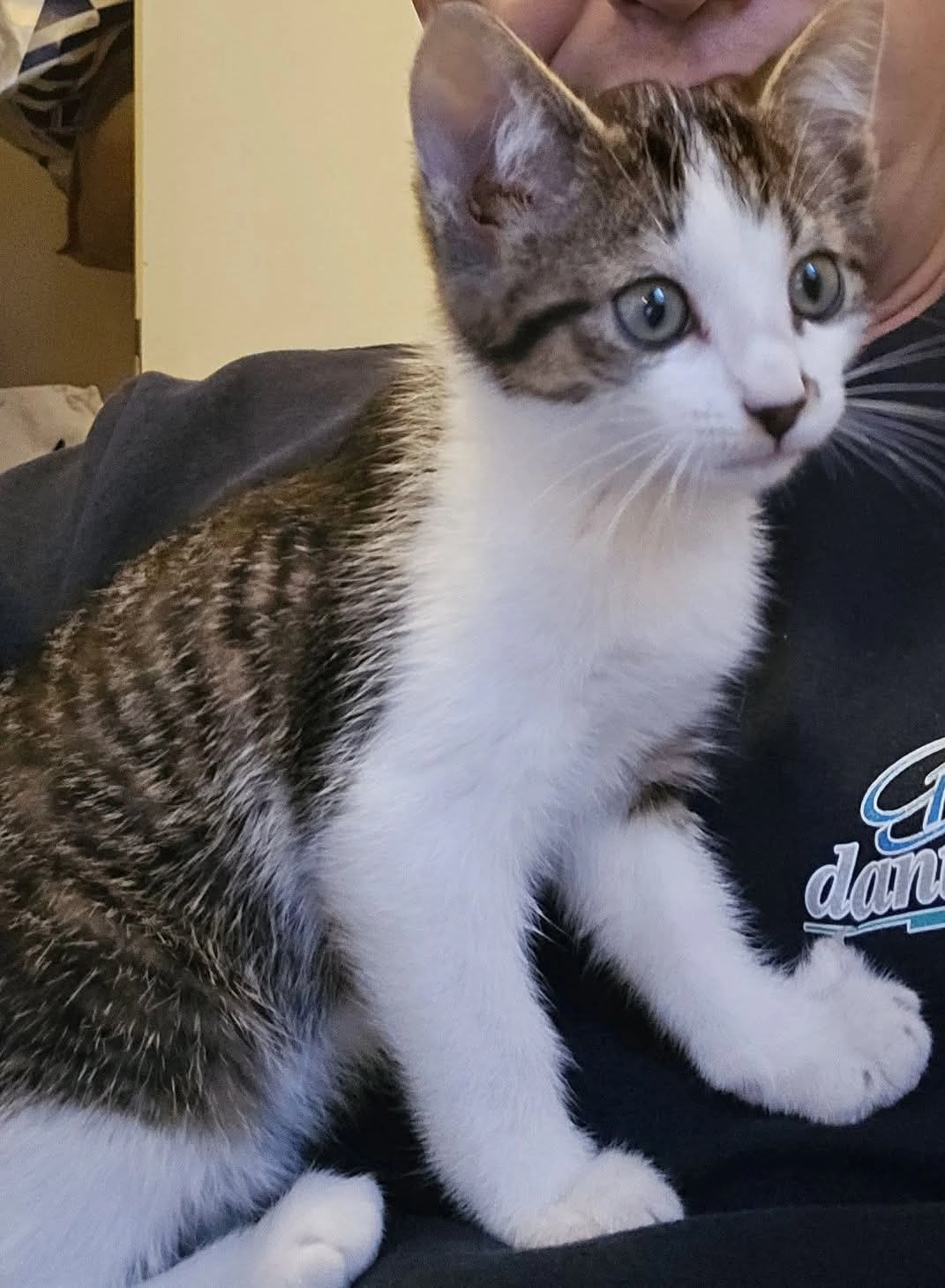 Marshall - Parklaan, De Westereen