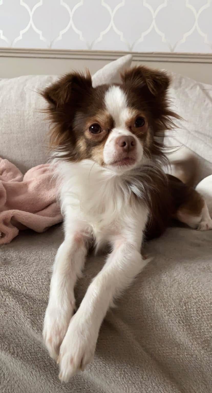 Roméo - Rue Camille Desmoulins, Fouquières-lès-Lens