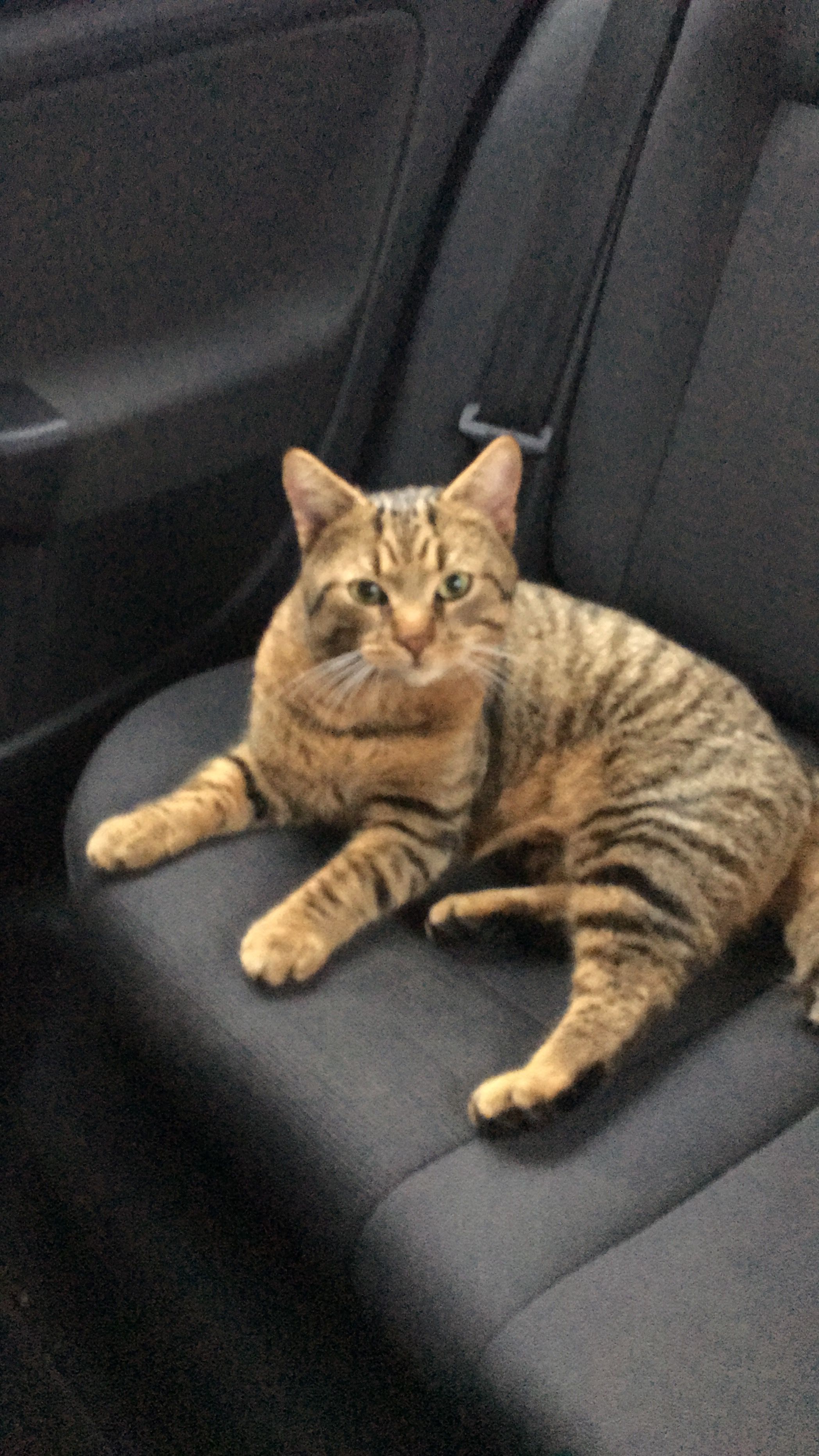 Leo - Kunibertstraße, Kimratshofen