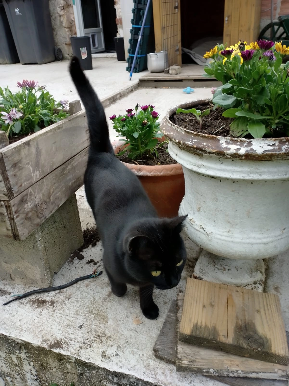 Hinata  - Chemin de Courcelles, Courcelles-sur-Viosne