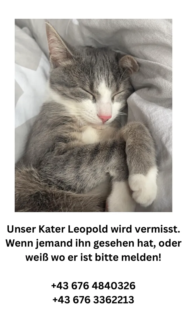 Leopold - Bösenlacken-Siedlung, Feldkirchen in Kärnten