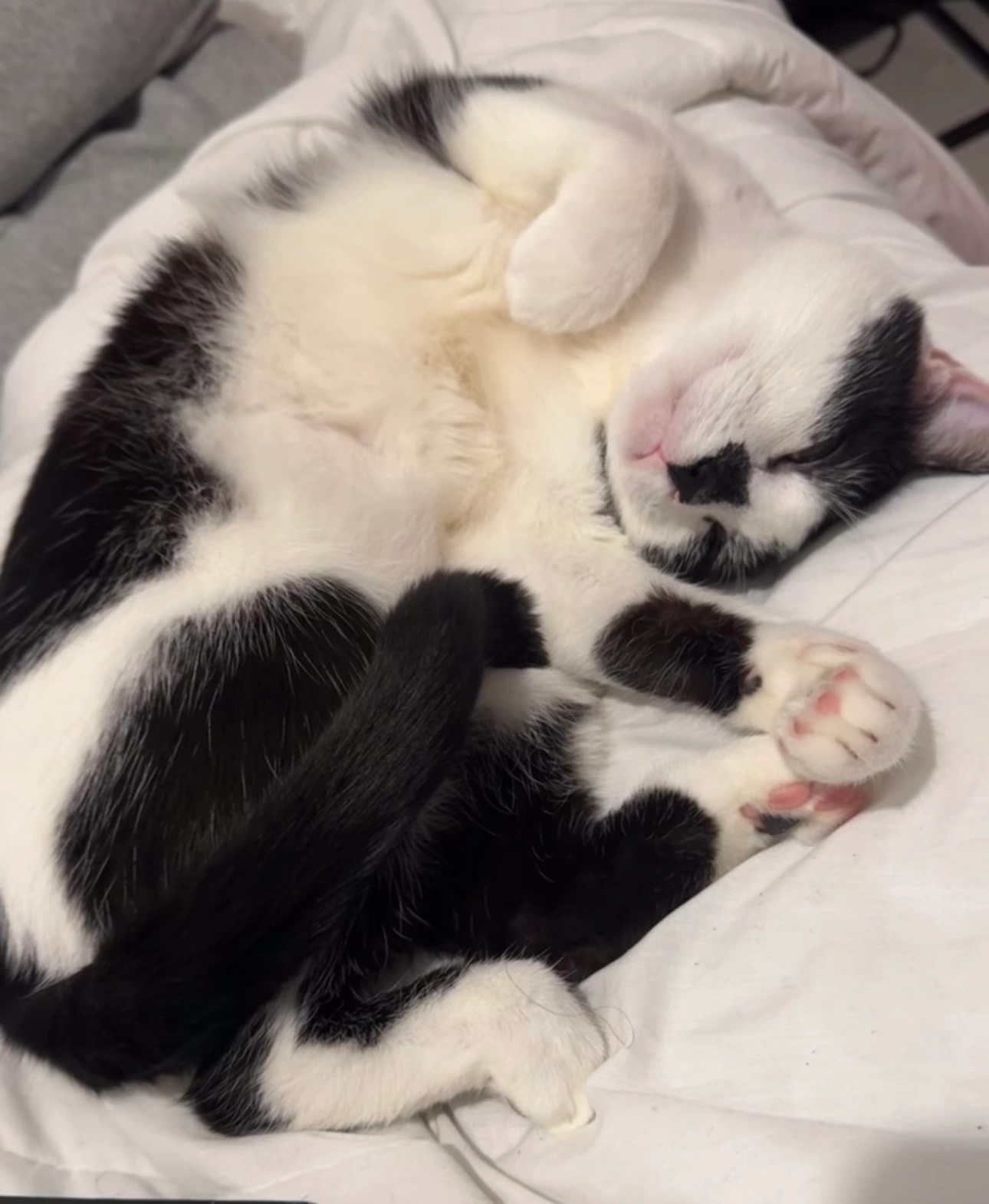 Kimberly - Quai Lucie, Champigny-sur-Marne