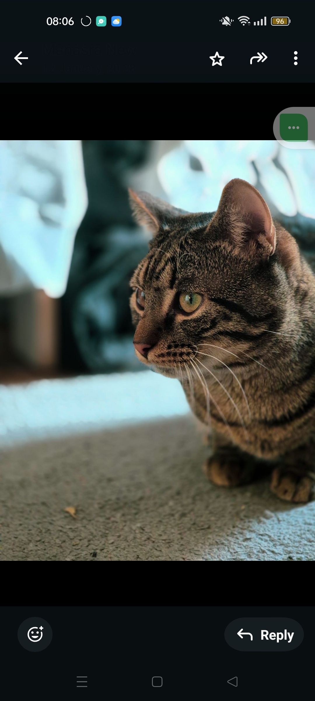 Farid - Haagstraße, Erlangen