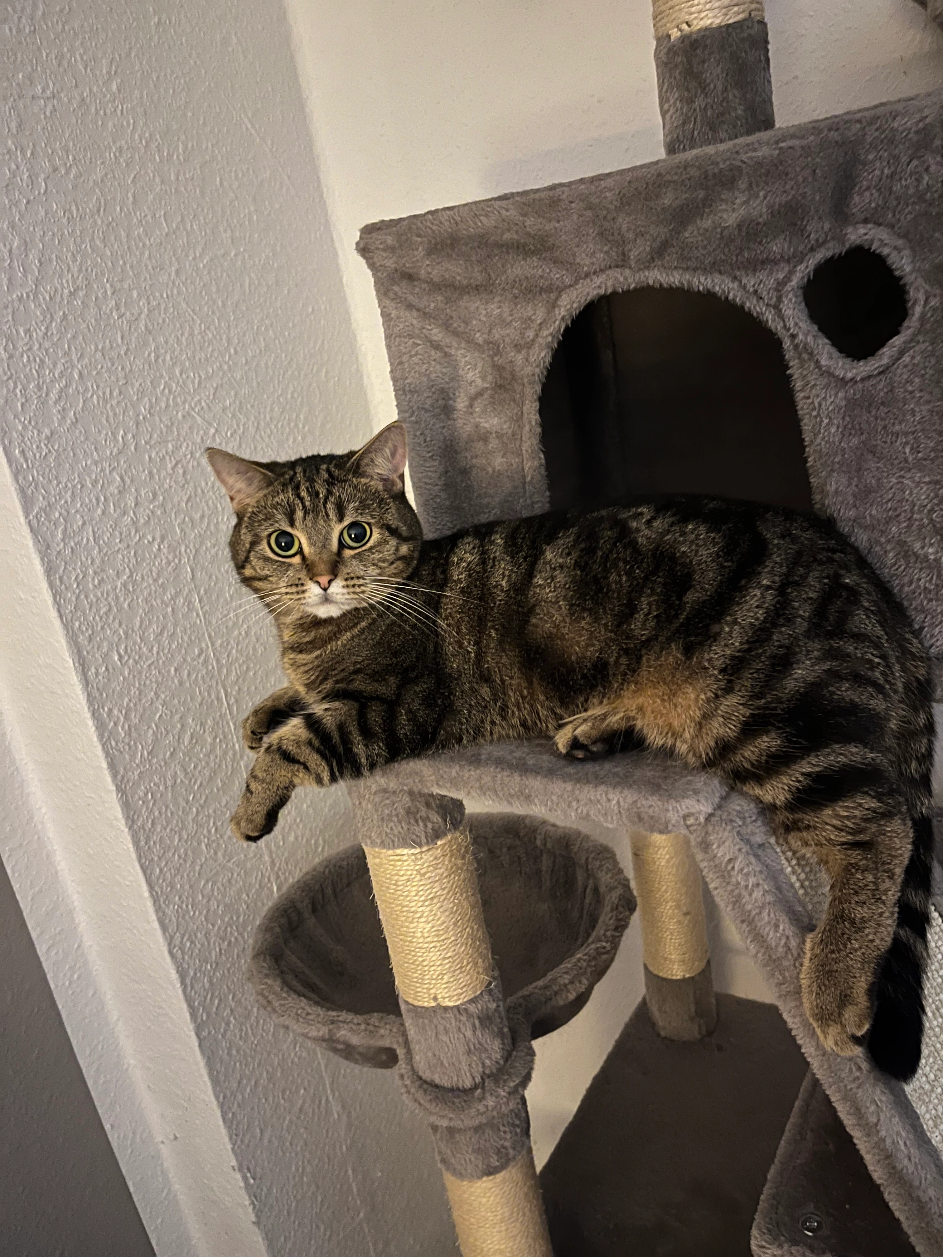 Frida - Kotthausstraße, Ennepetal