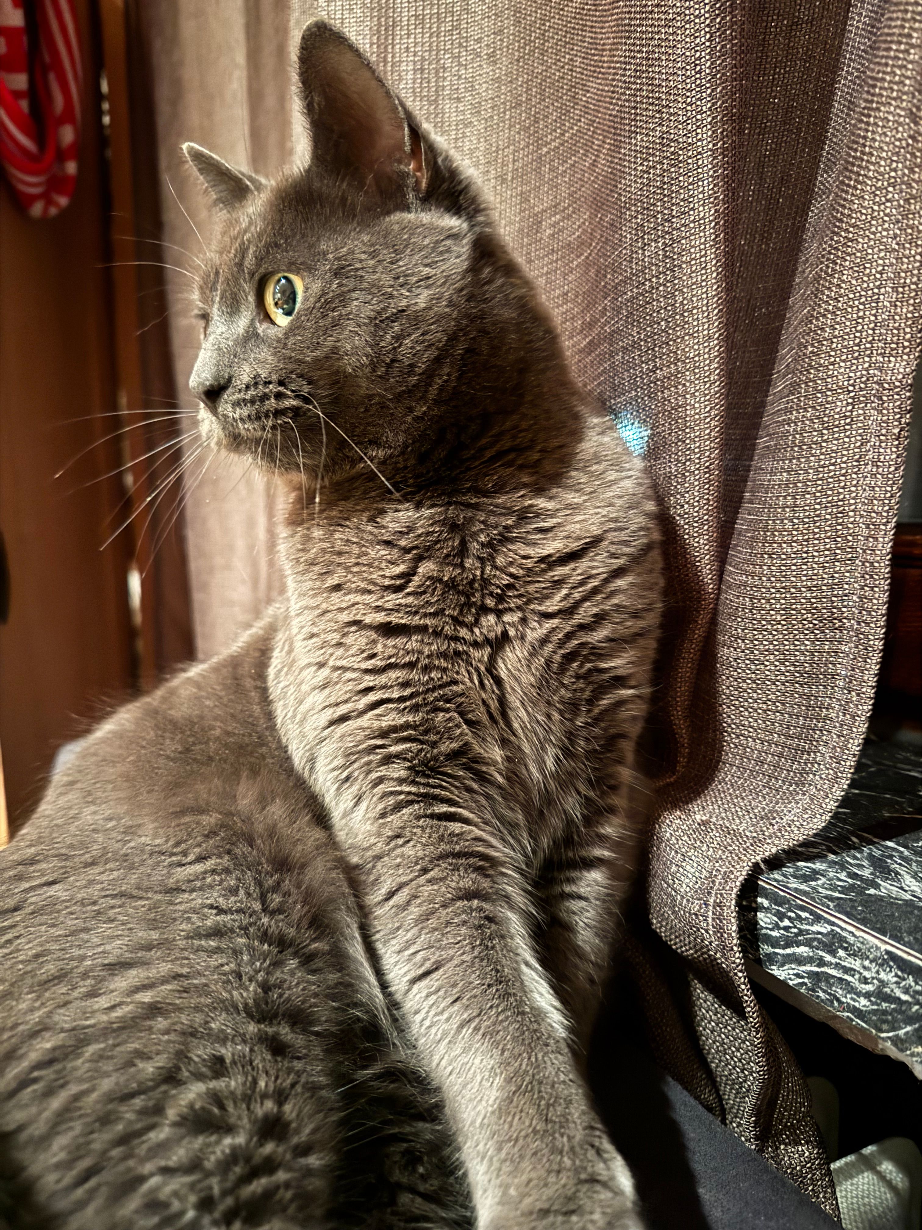 Grey  - Steinatstraße, Villingen-Schwenningen