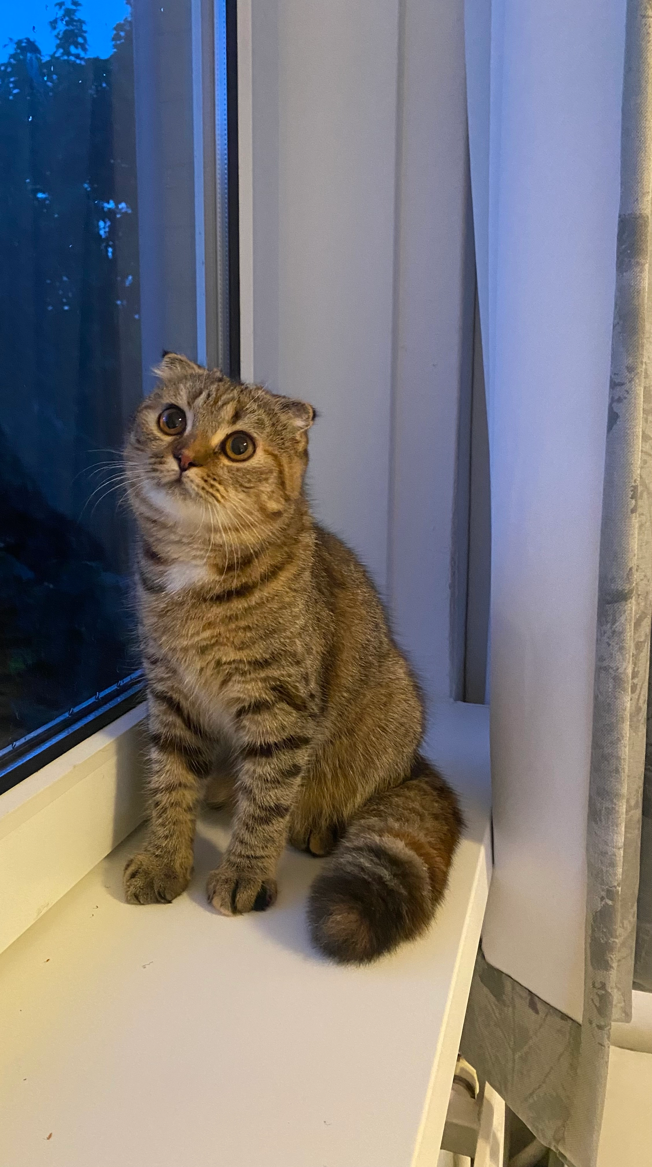 Mimi - Froukemaheerd, Groningen