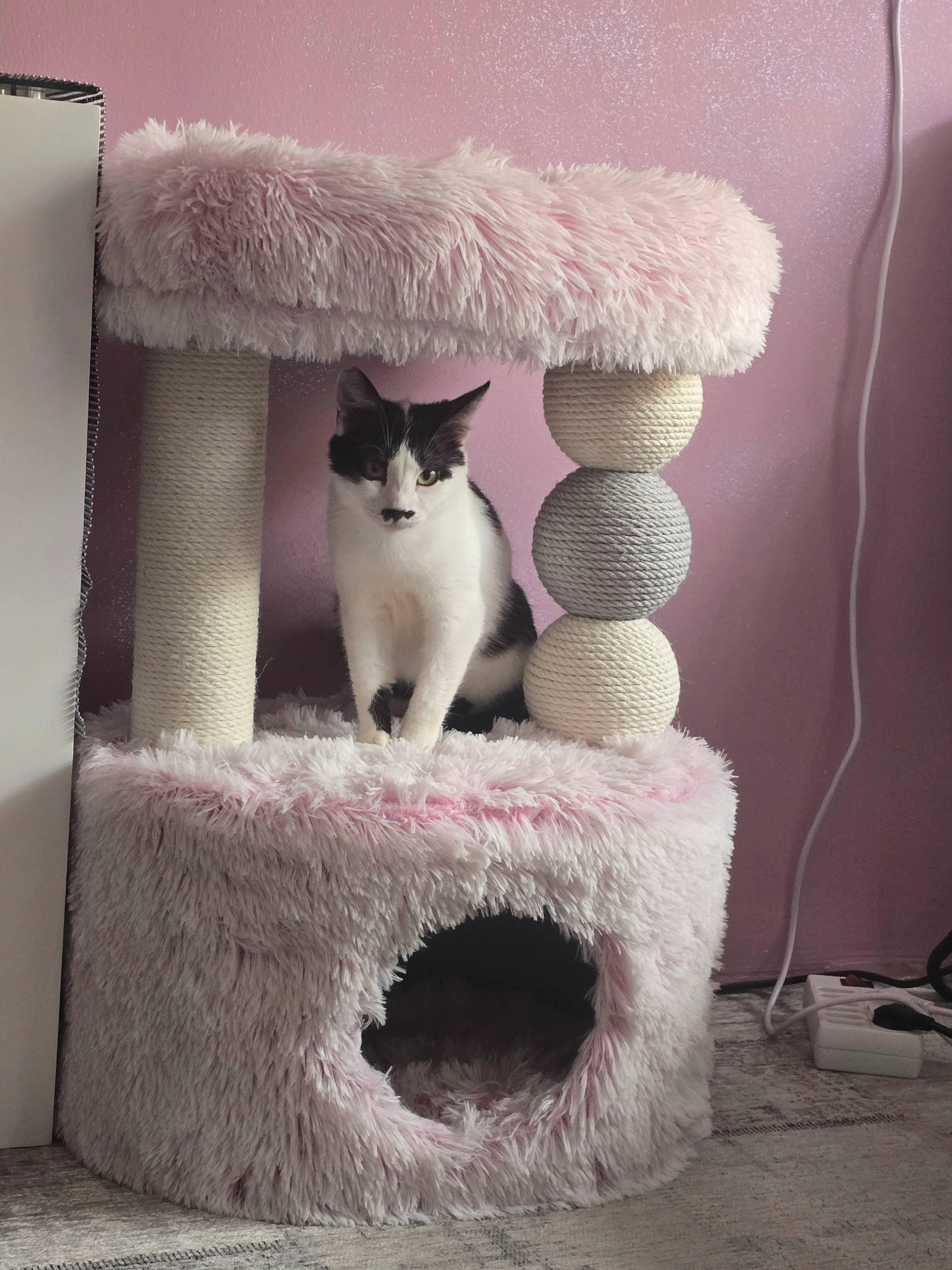 Mau - Finkenstraße, Aschheim