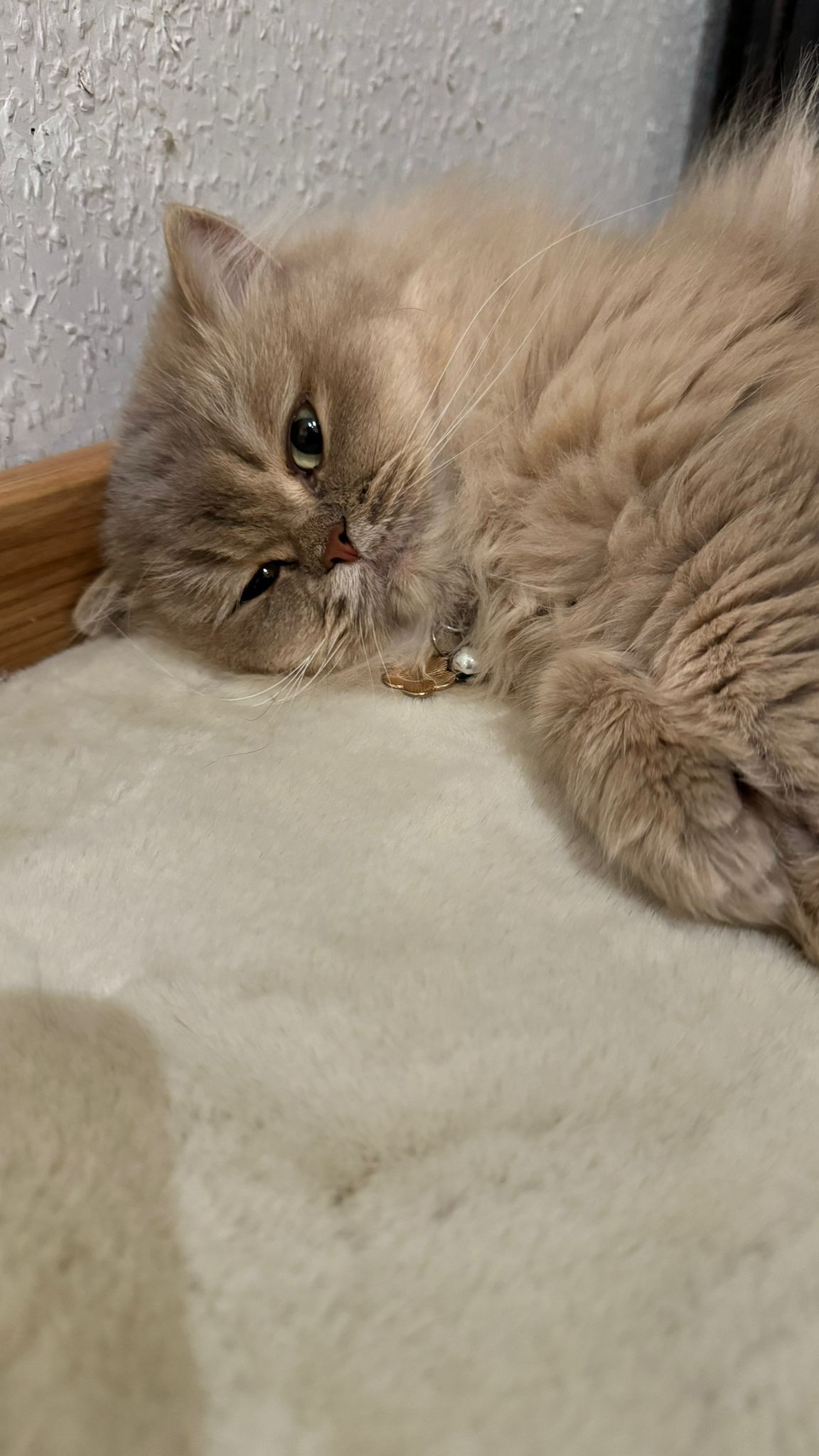 Huria - Mühlenweg, Vellmar