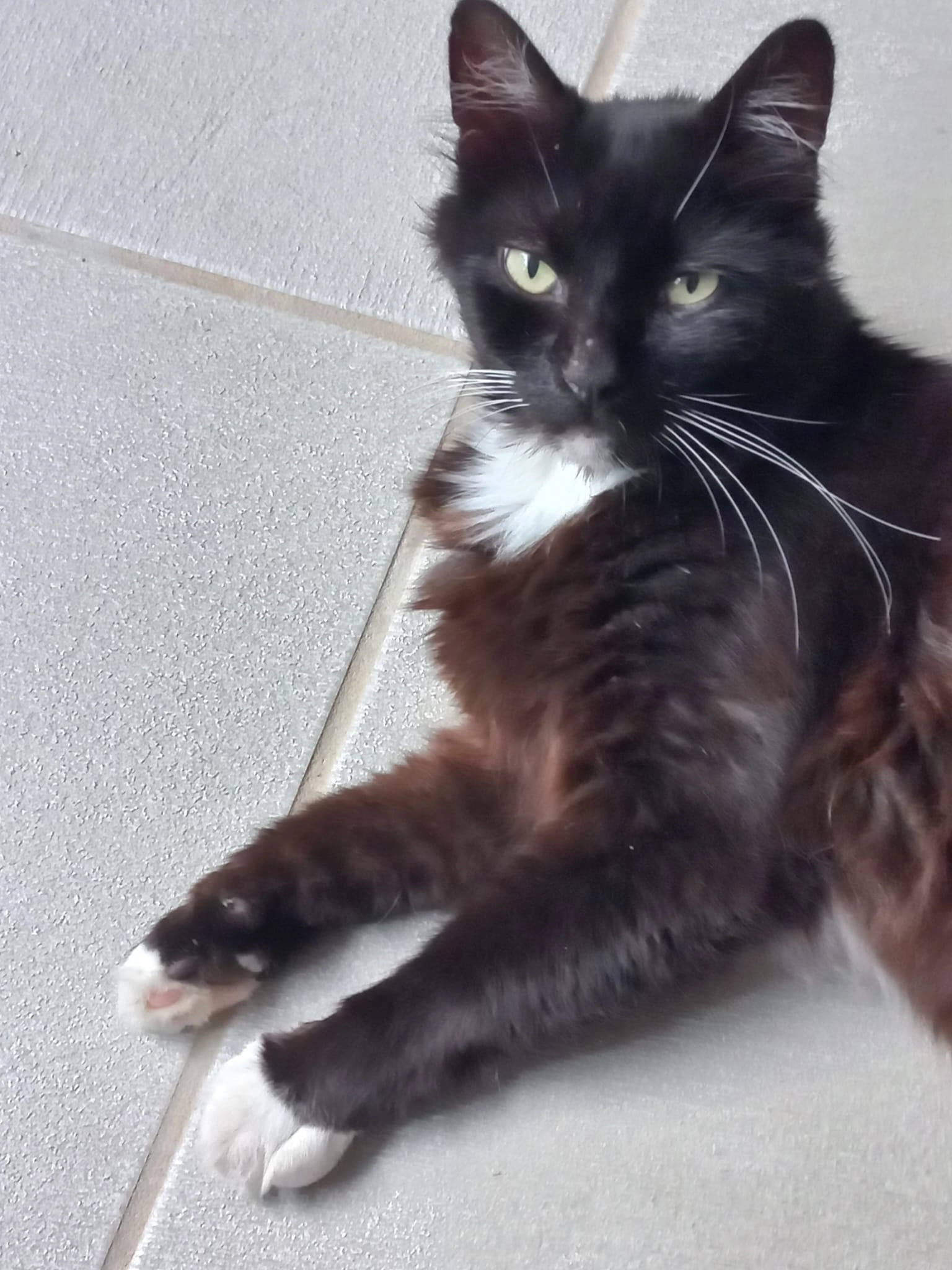 Blacky  - 5 Boulevard Roger Audoux, Valras-Plage