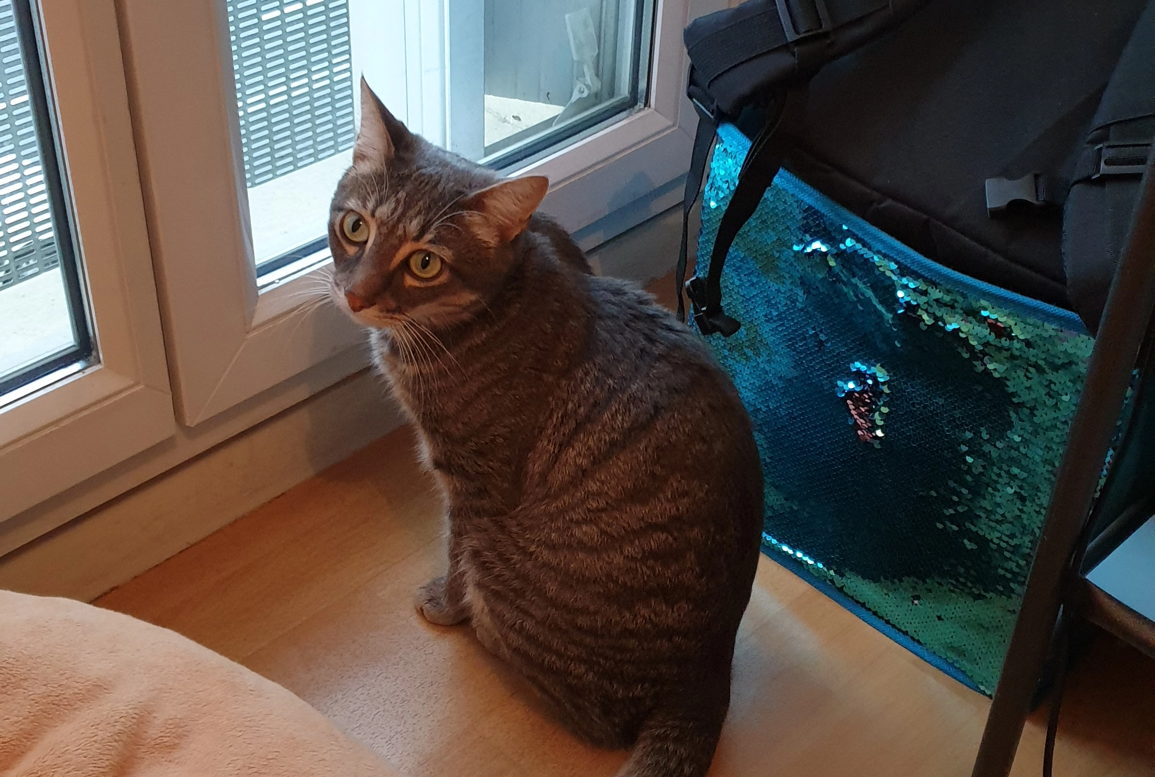 Bob - Boulevard D'alsace Lorraine, Pau