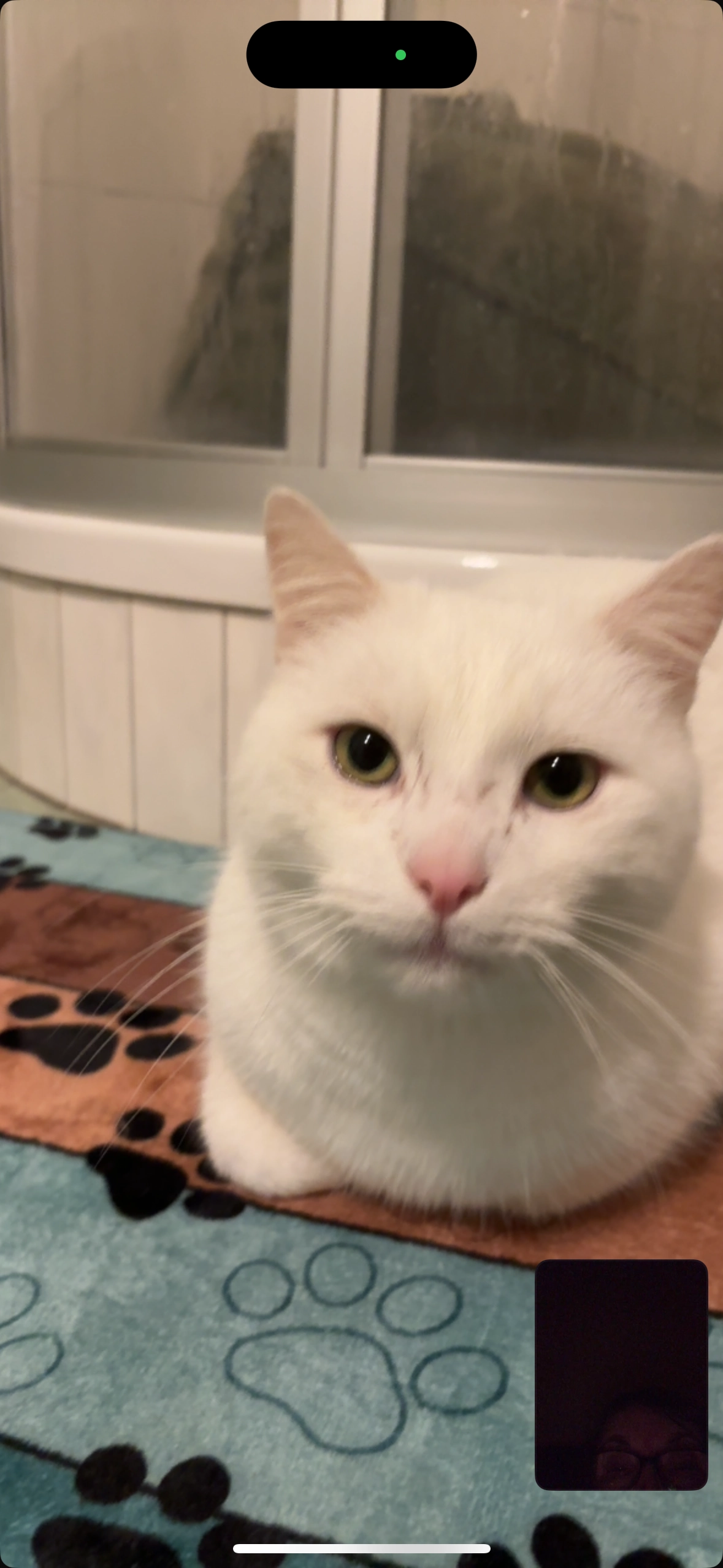 Squeaky  - Valfitz 25, Kuhfelde