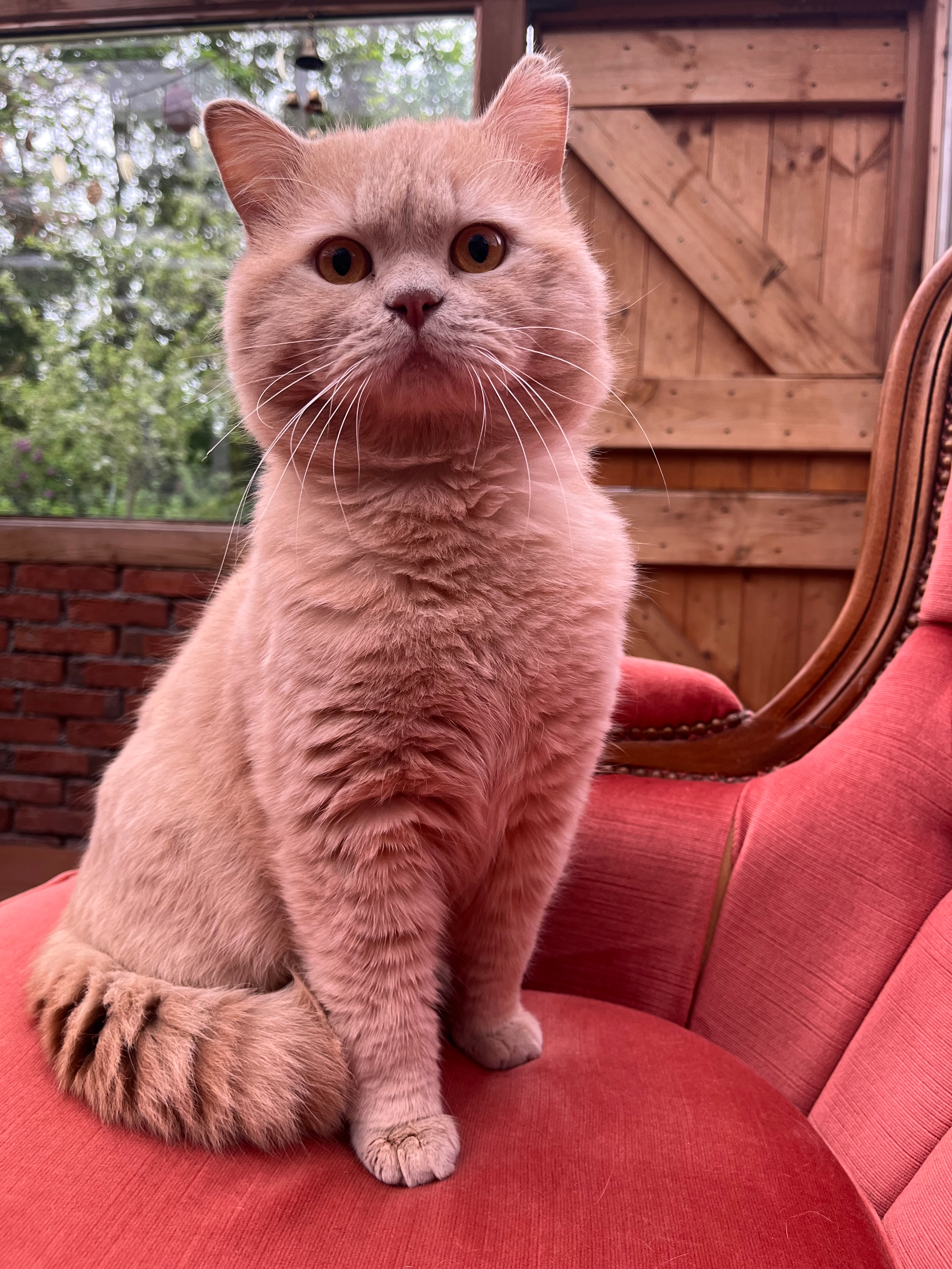 Nemo - Hasenheide 6, Leck