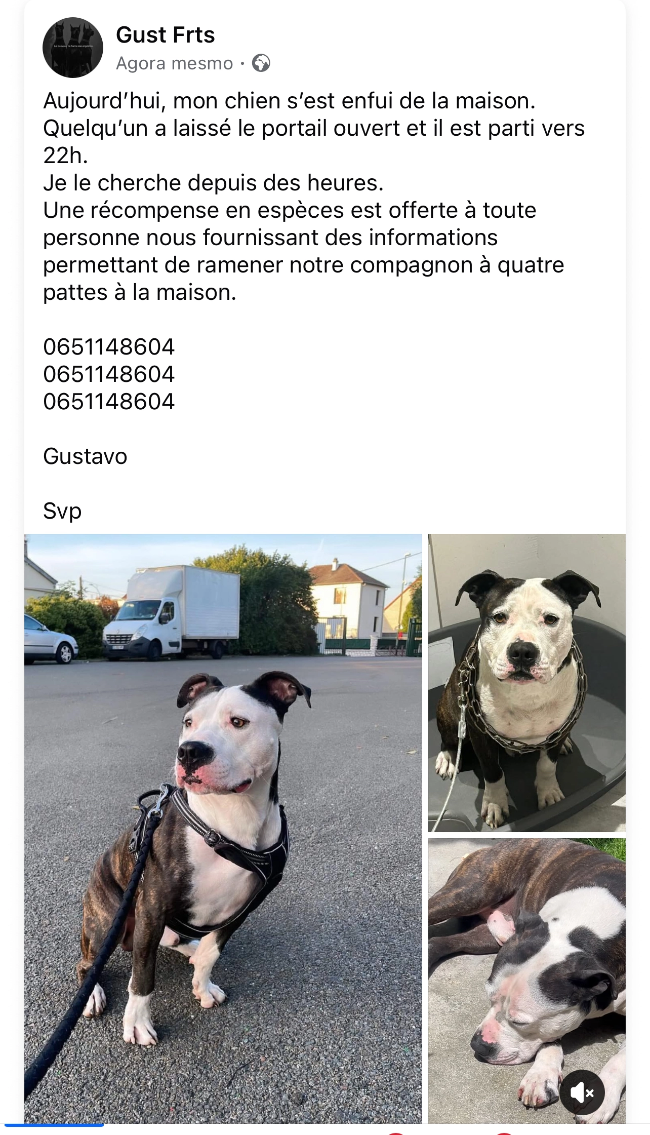 Killer  - Avenue Jules Guesde, Stains