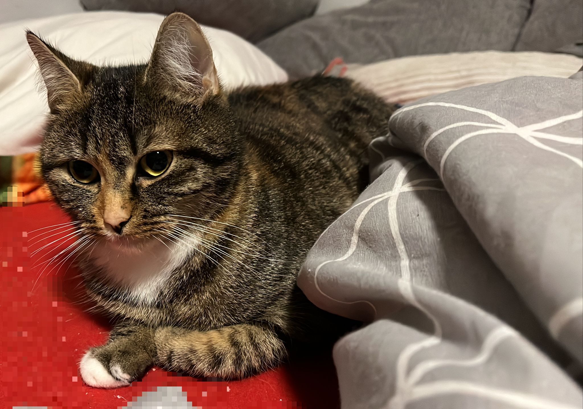 Nala - Rathausstraße, Bad Pyrmont