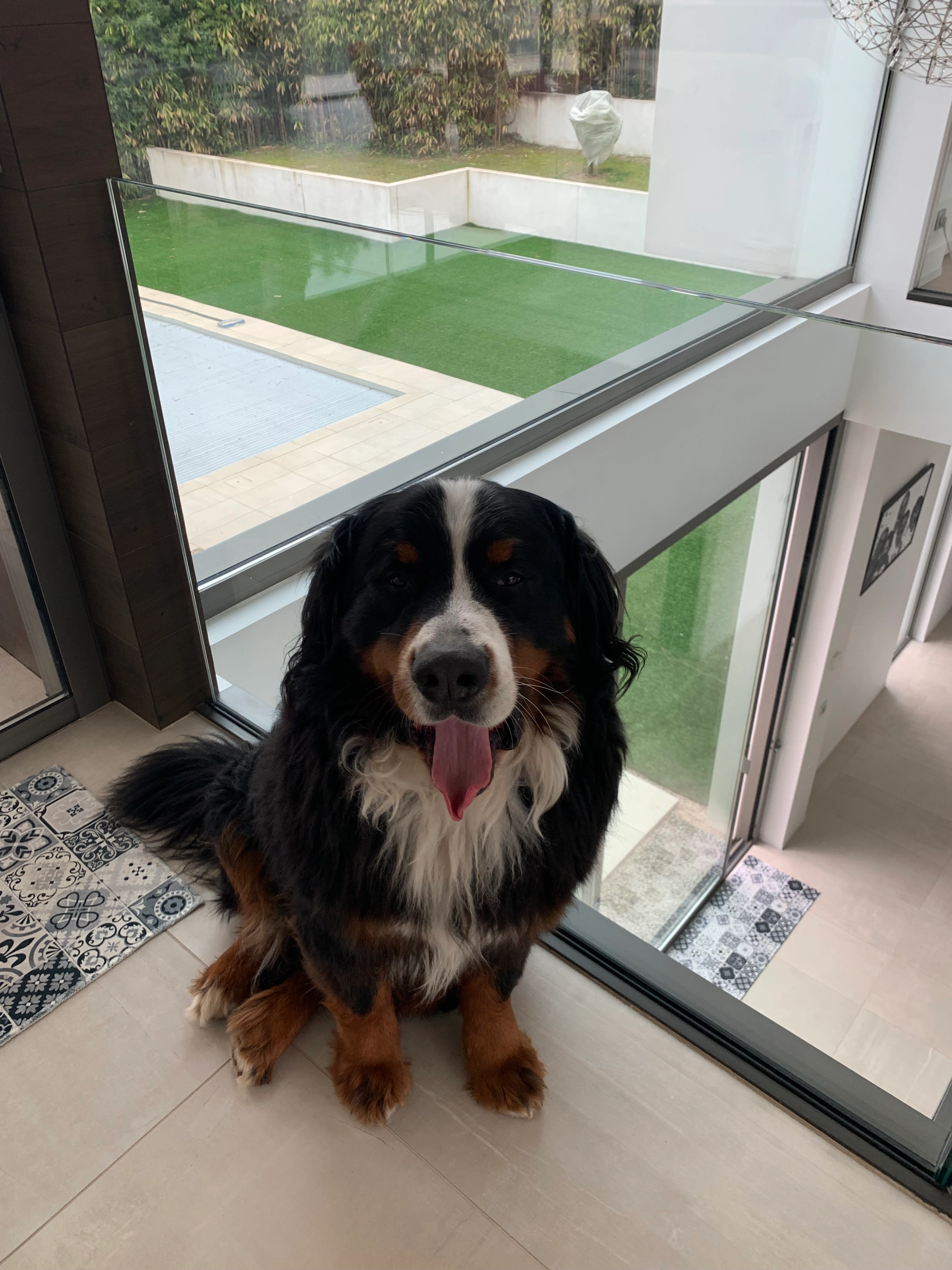 Newton - Allée de l'Impératrice, Anglet