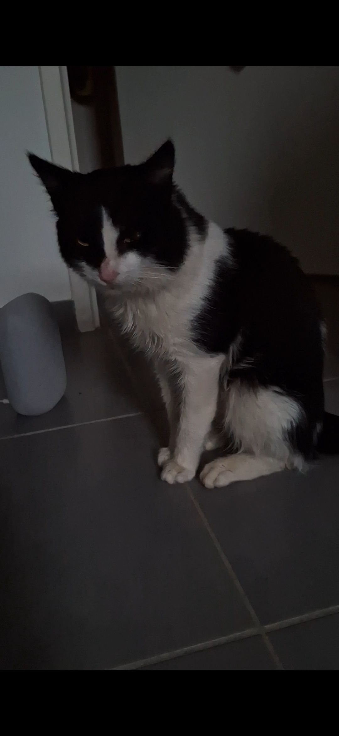 Monsieur - Rue Du Trinquet Ignacio, Urrugne