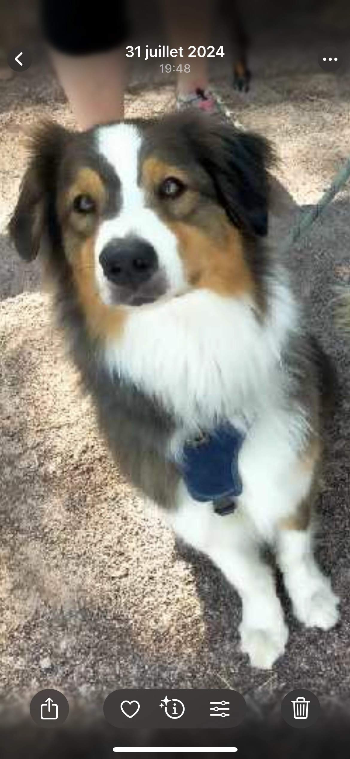 Roch - Rue D'étampes, Les Granges-le-Roi