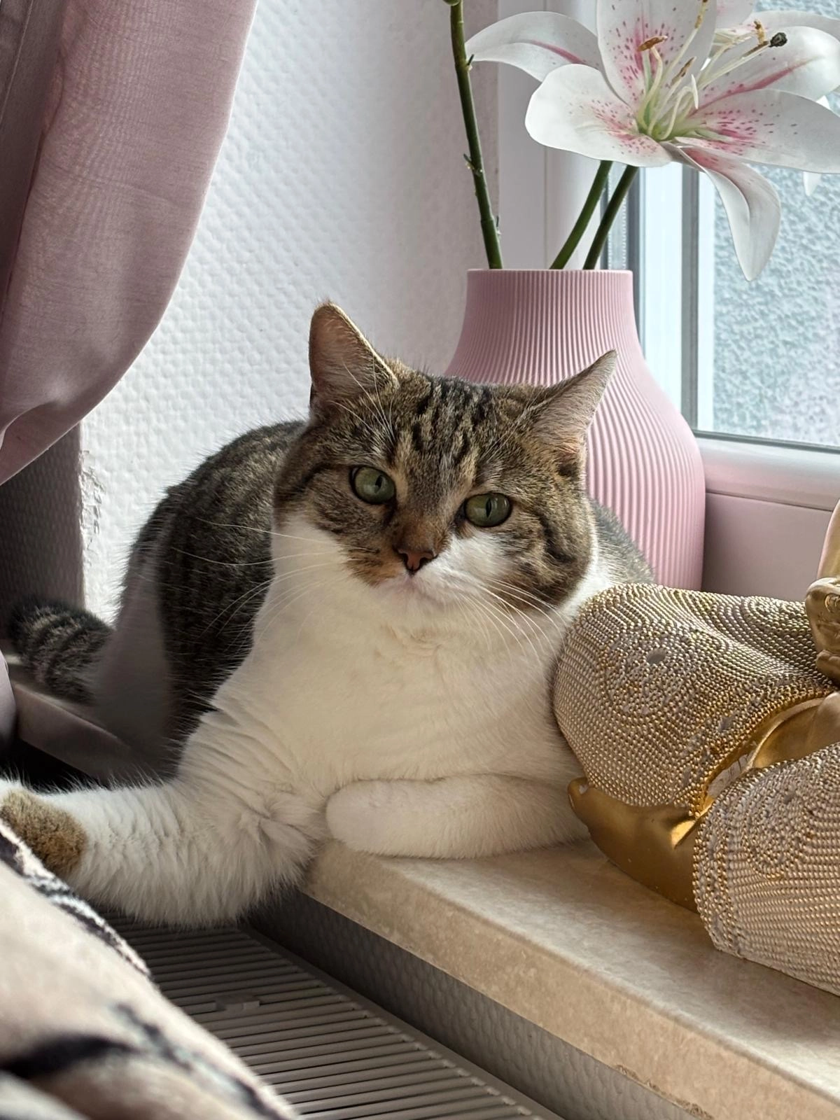 Frida - Treischfeld, Stadthagen