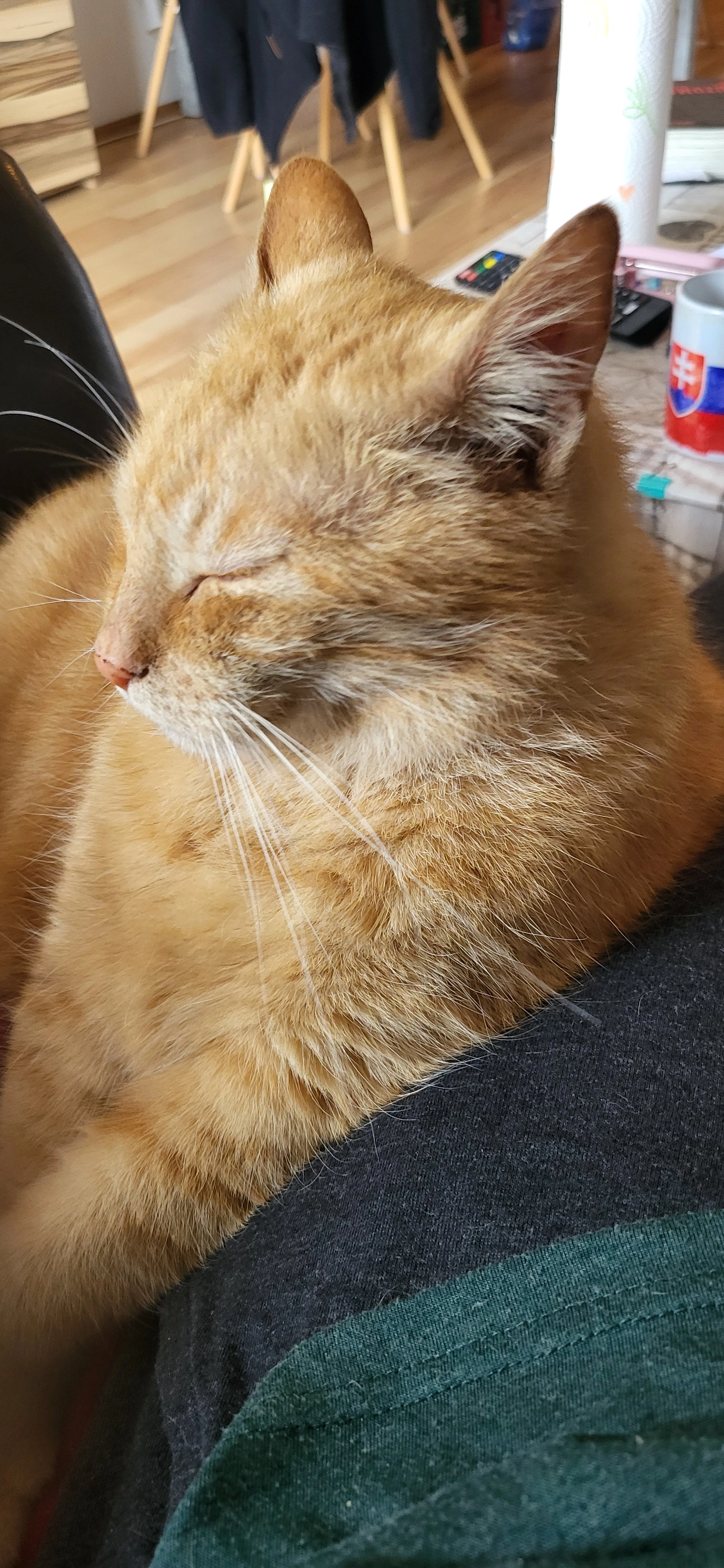 Weekend  - Im Ebenfeld, Schönberg