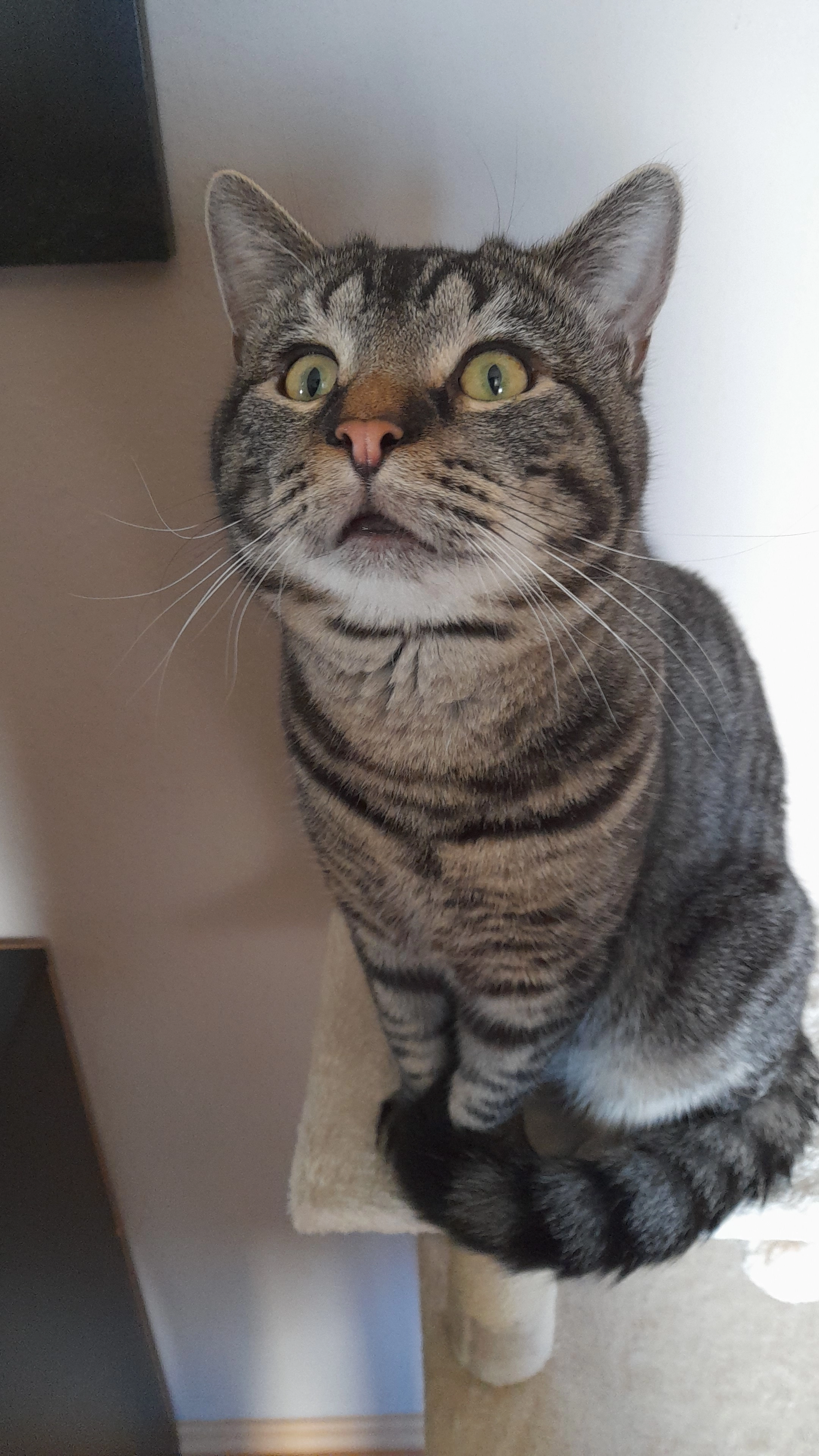 Maxwell - Buchholzstraße, Bonn