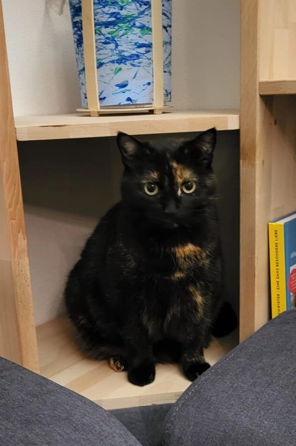 Hildi - Lenaustraße 16, Regau