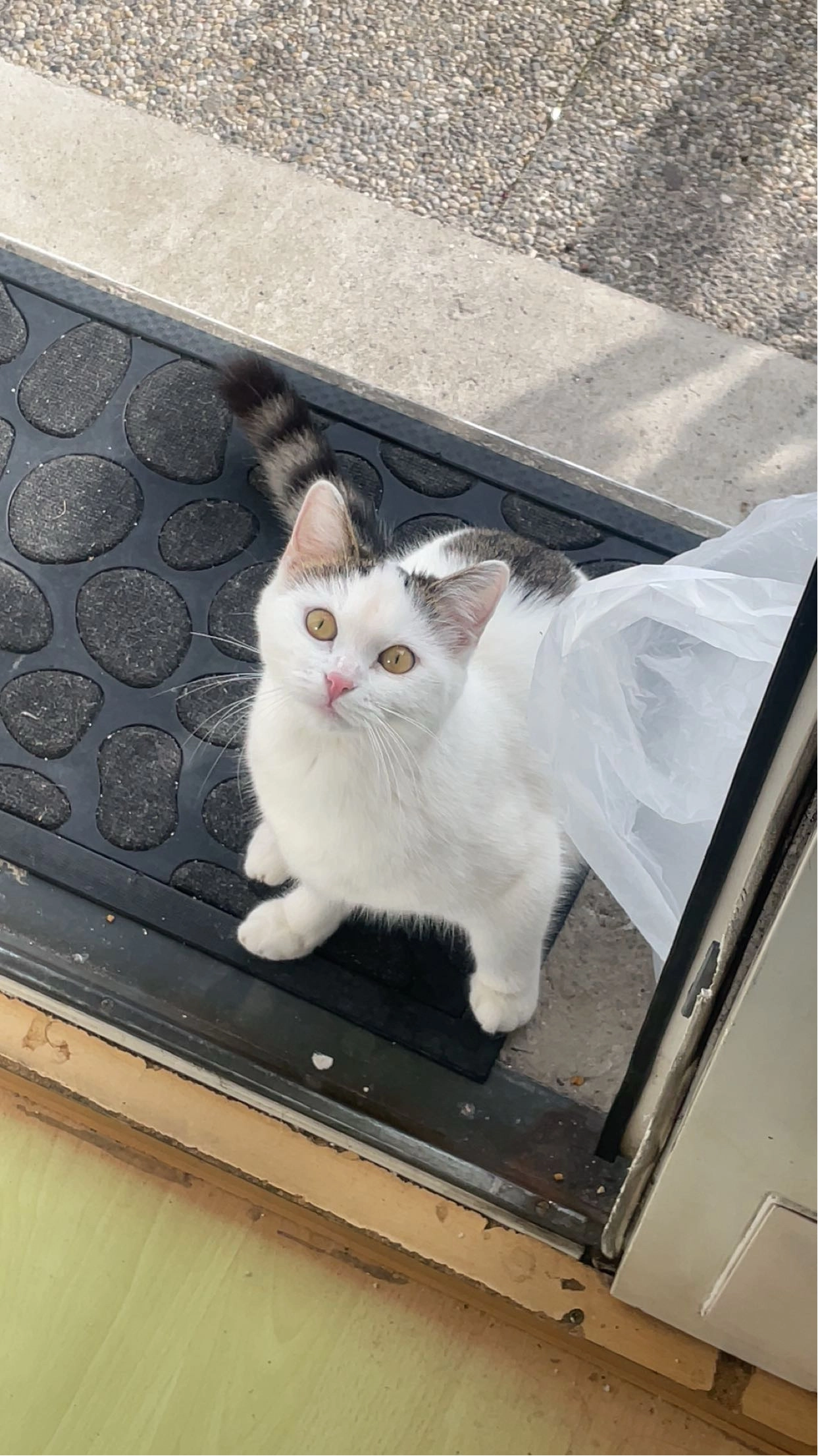 Michu - Bahnhofstraße, Grünburg