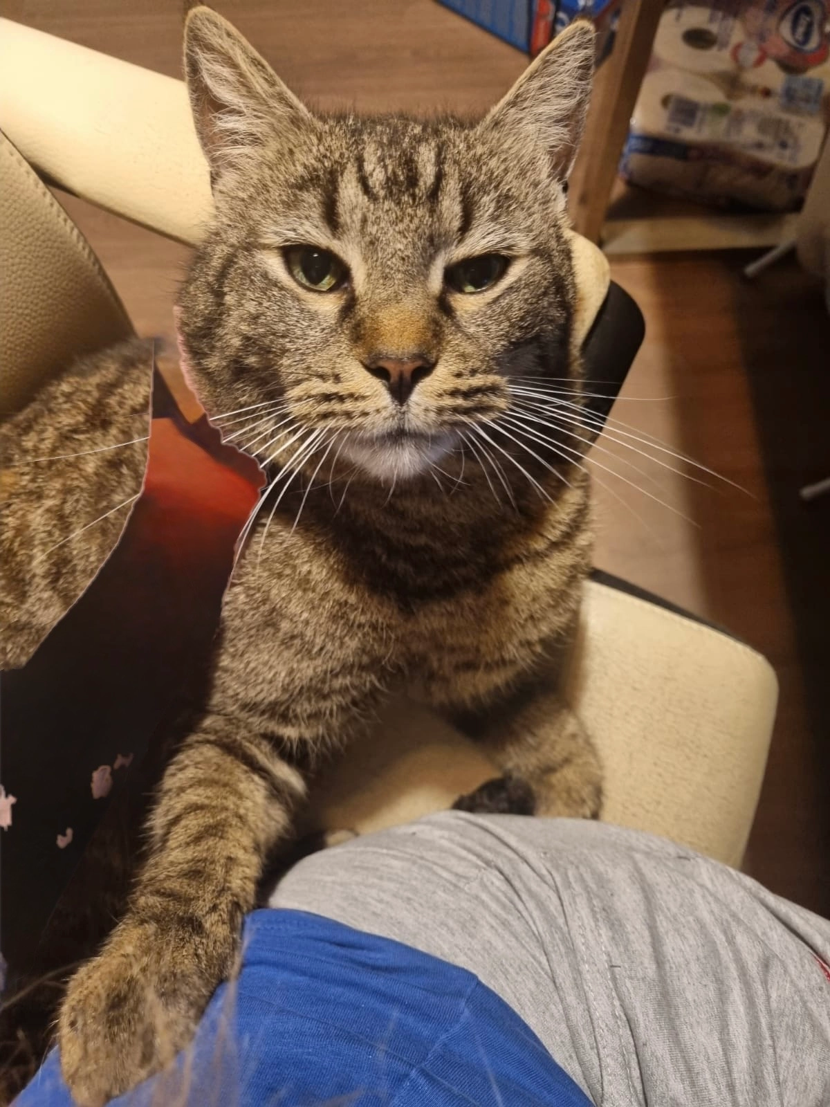 Radjha - Schützenhausweg, Hausen