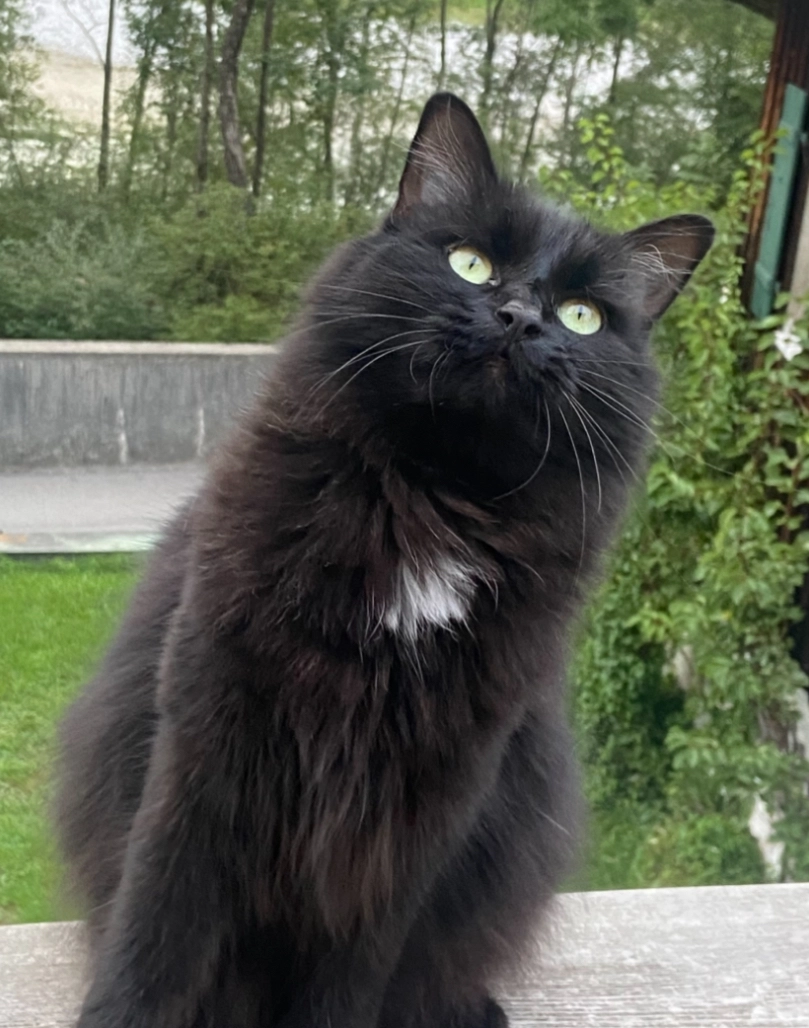 Sammy - Kohlstattstraße, Bad Tölz