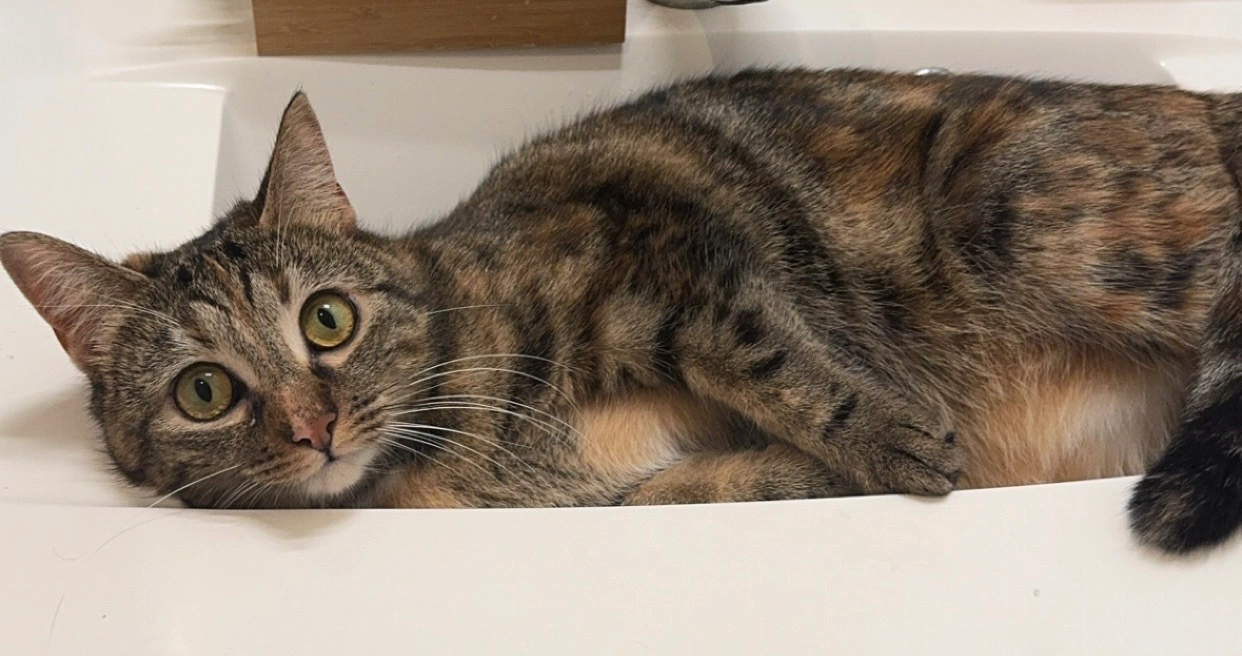 Una - Grande Rue Du Moulin D'avaux, Hières-sur-Amby