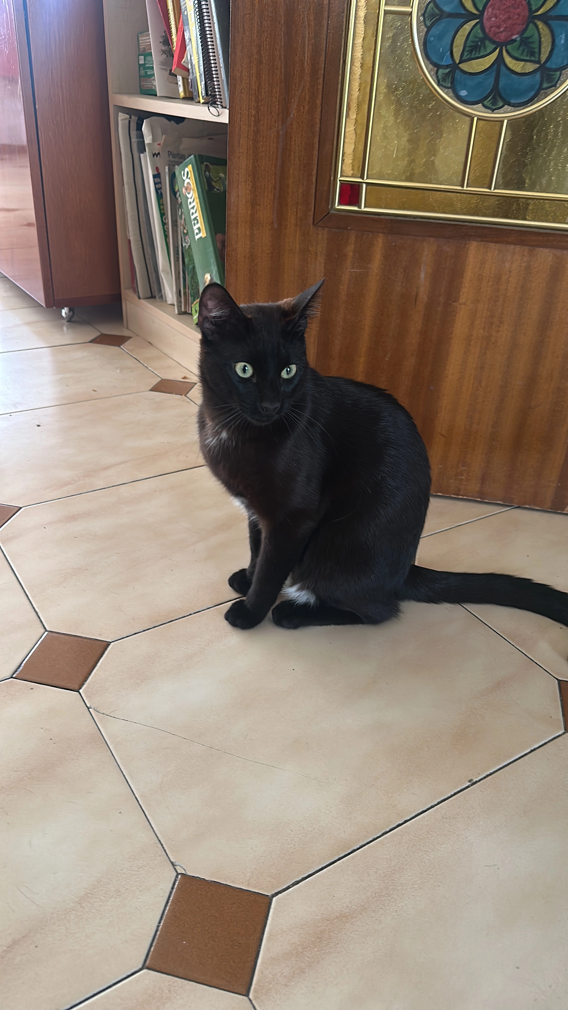 Tupac - Passeig De Sant Valerià, Lliçà d'Amunt