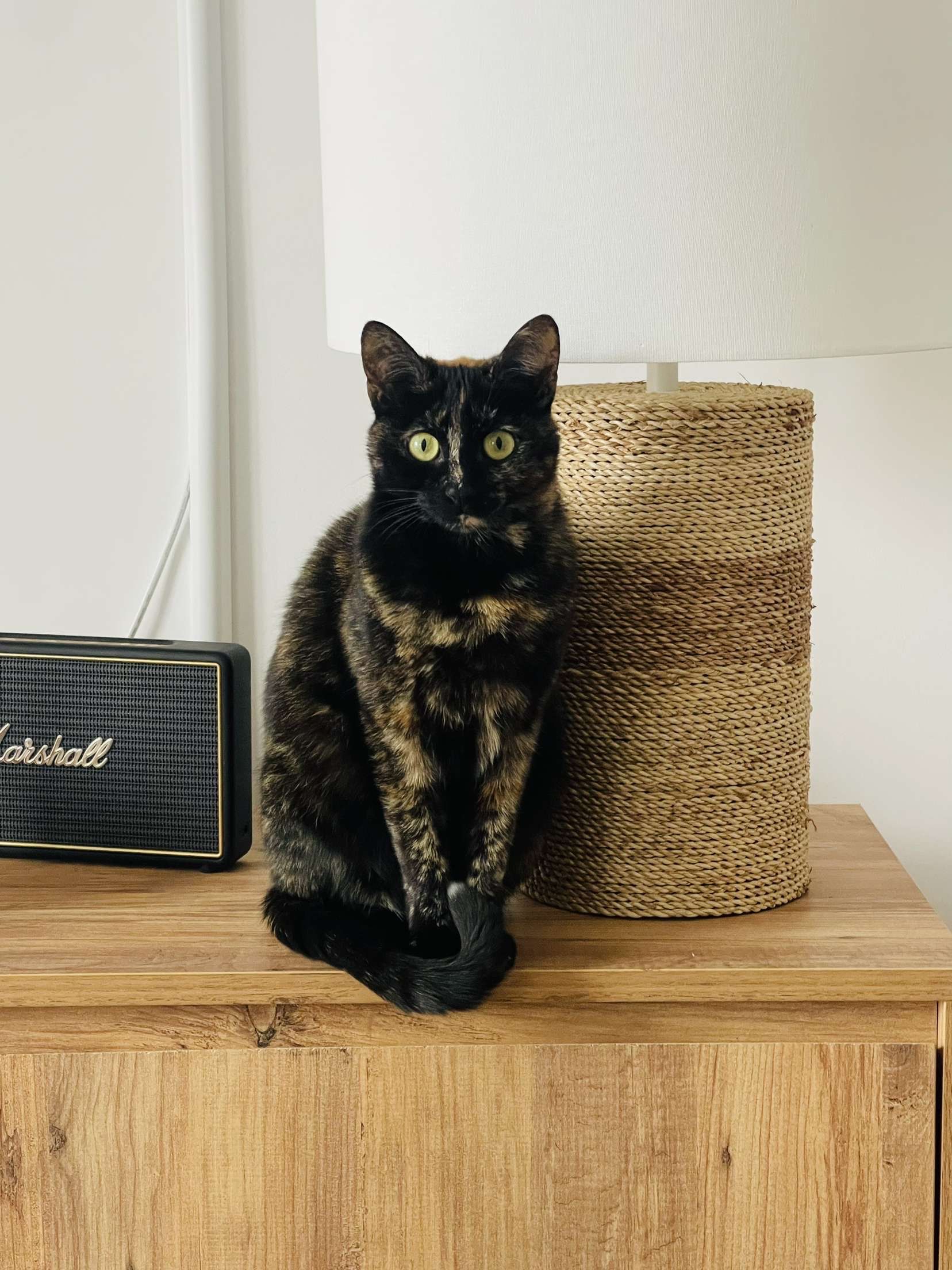 Mia - Rue Jean Maridor, Le Havre