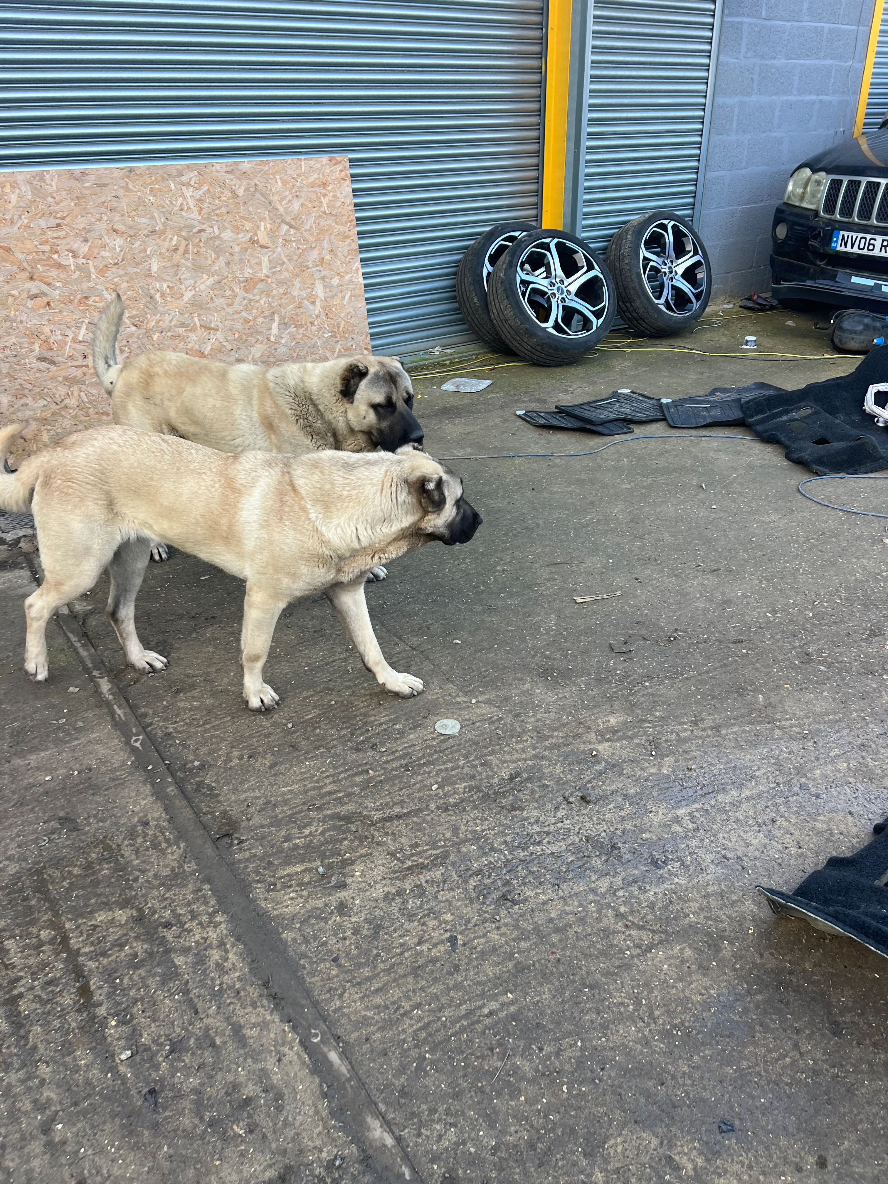 Brooklyn  - Iver Lane, Iver