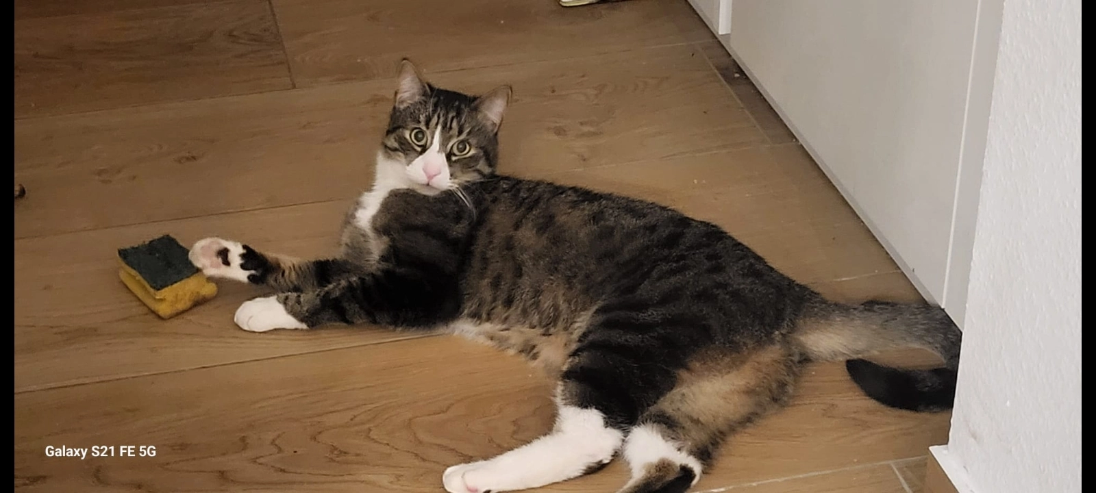 Tygger - Anebosweg, Karlsruhe