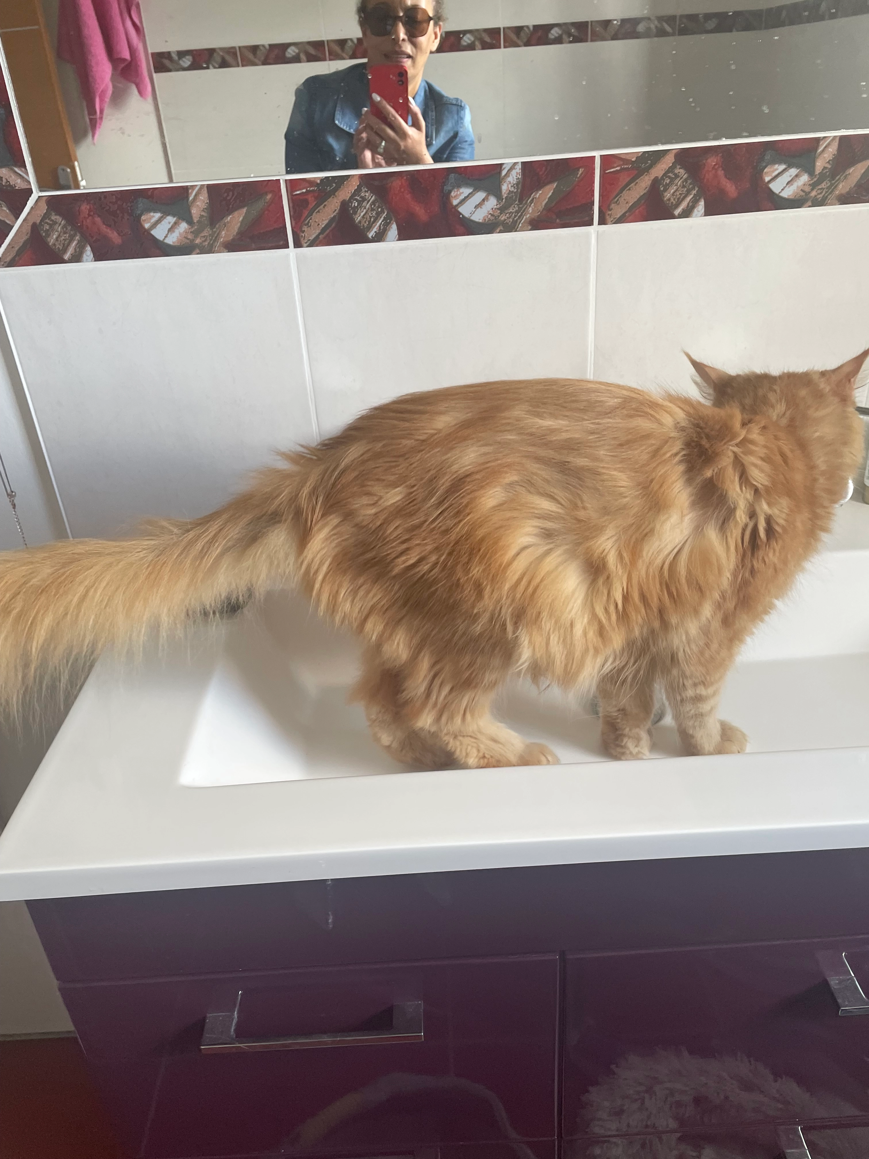 Vulcain - 16 Rue Saint-Yved, Braine