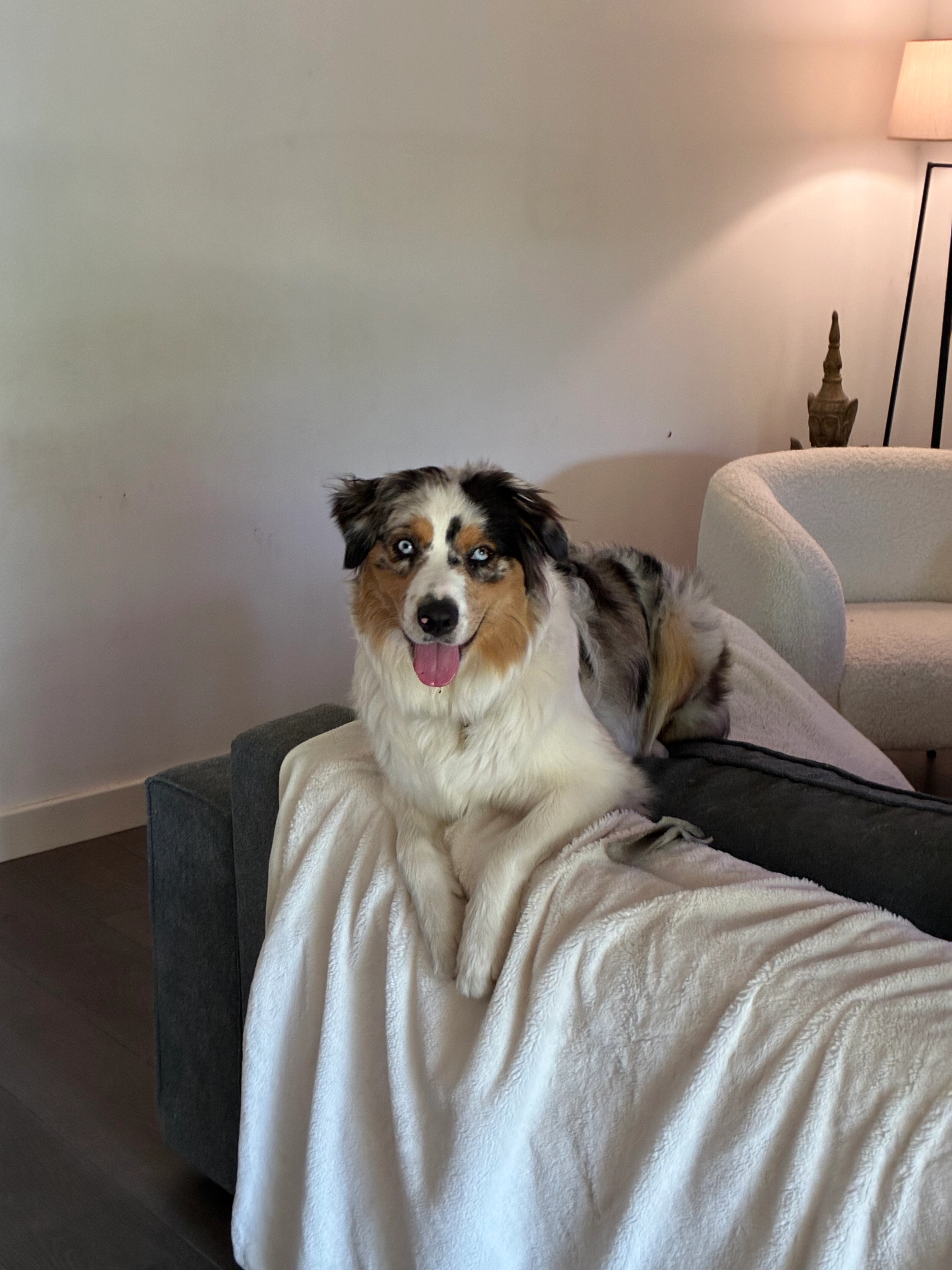 Victoire  - Le Reposoir, Apremont