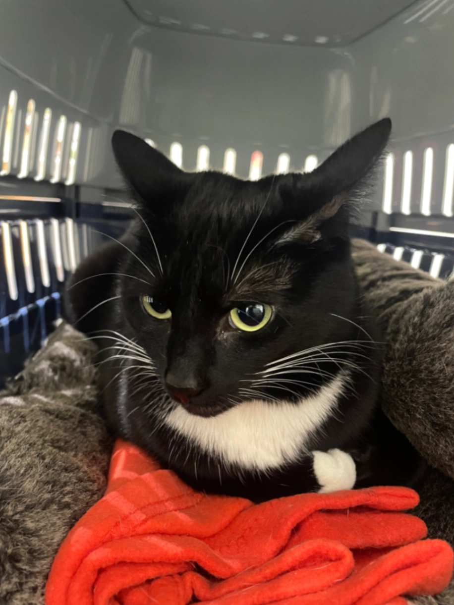 Sage - Clyde Road, Manchester