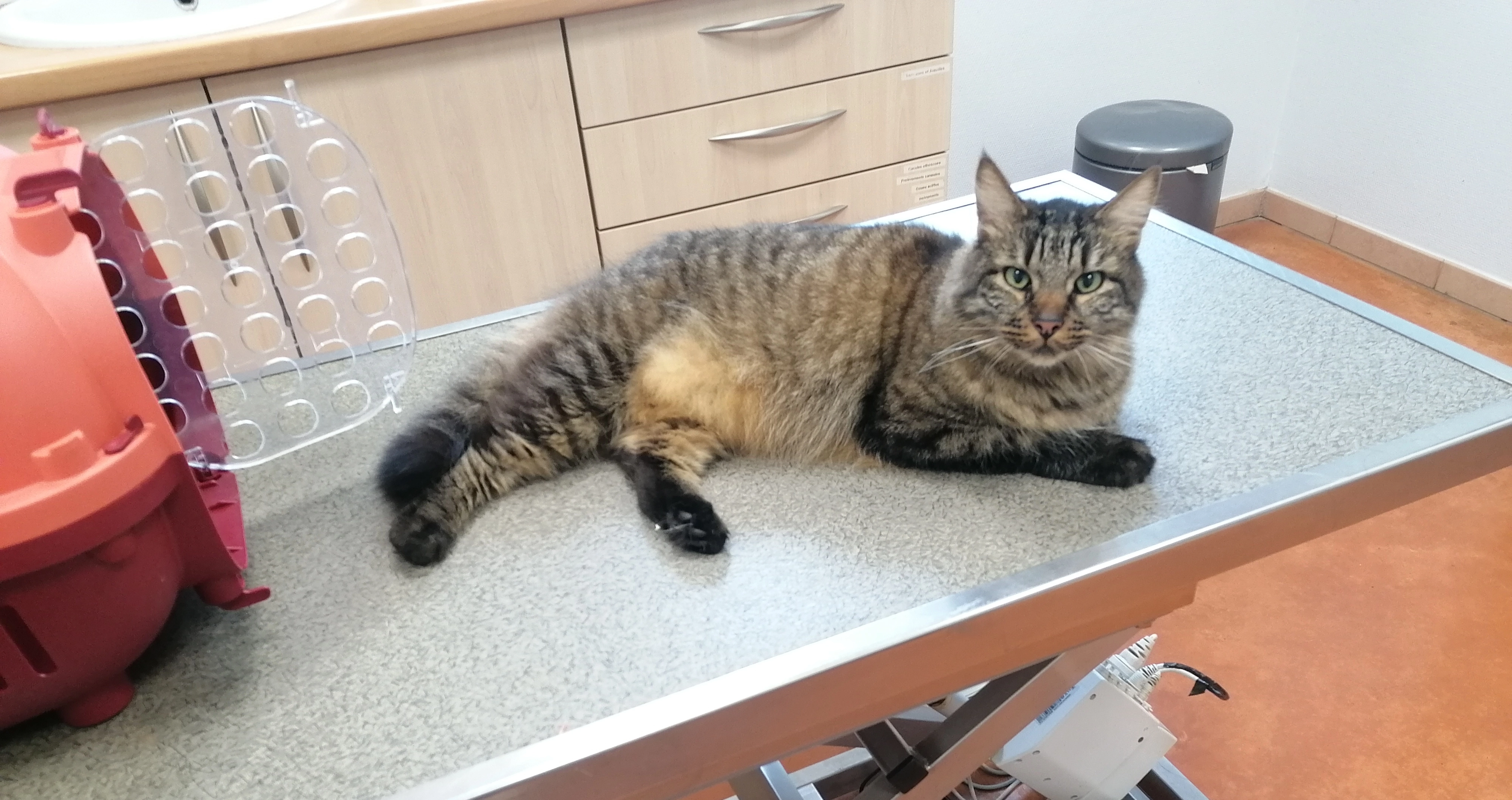 Aku - Rue Des Ouèches, Valdahon