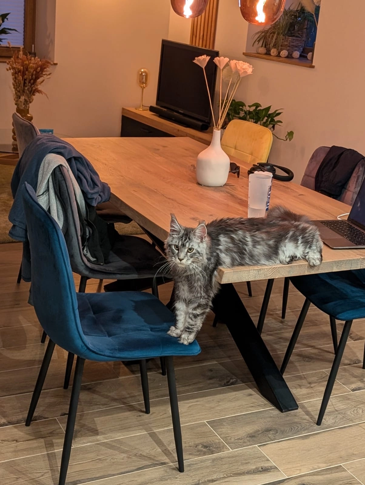 Victor  - Rue Du Maréchal De Lattre De Tassigny, Habsheim