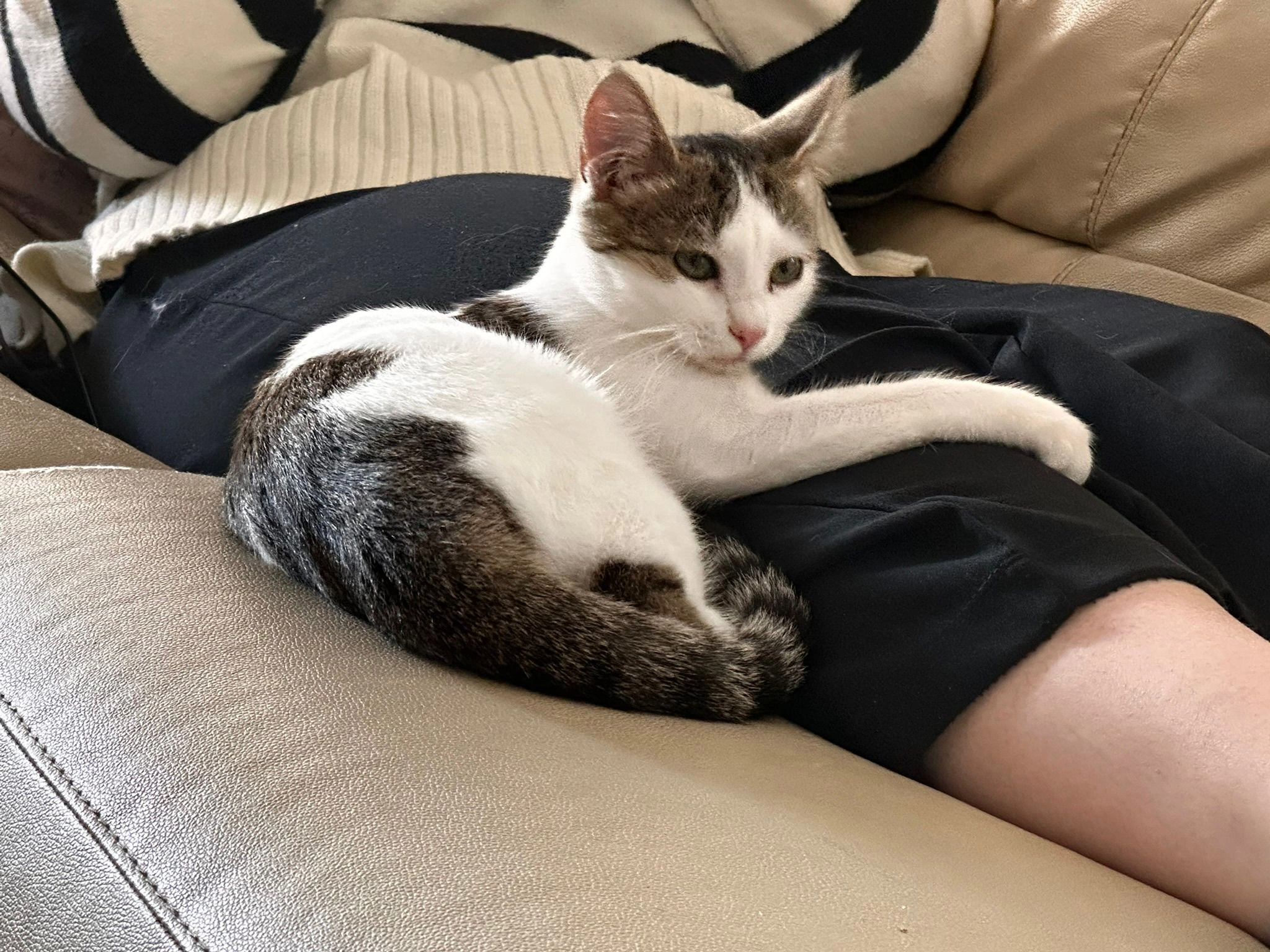 Astuce - Allée Louis Daguerre, Marly