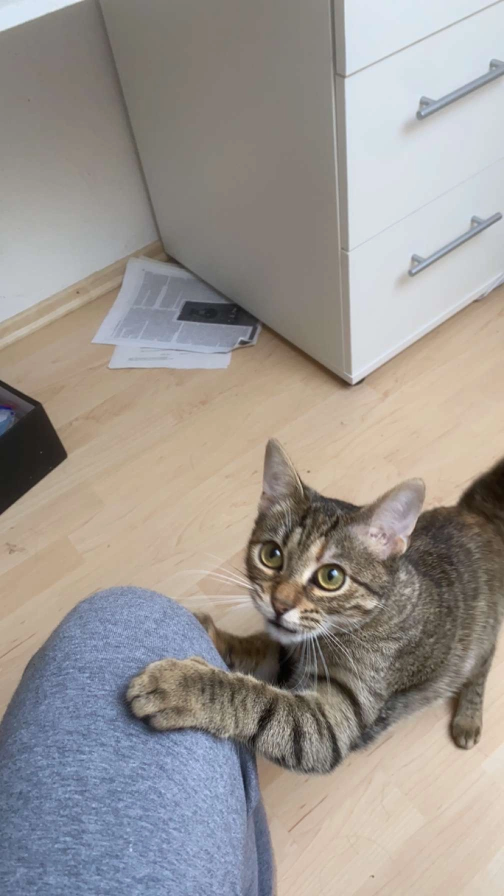 Kiki  - Schillstraße, Augsburg