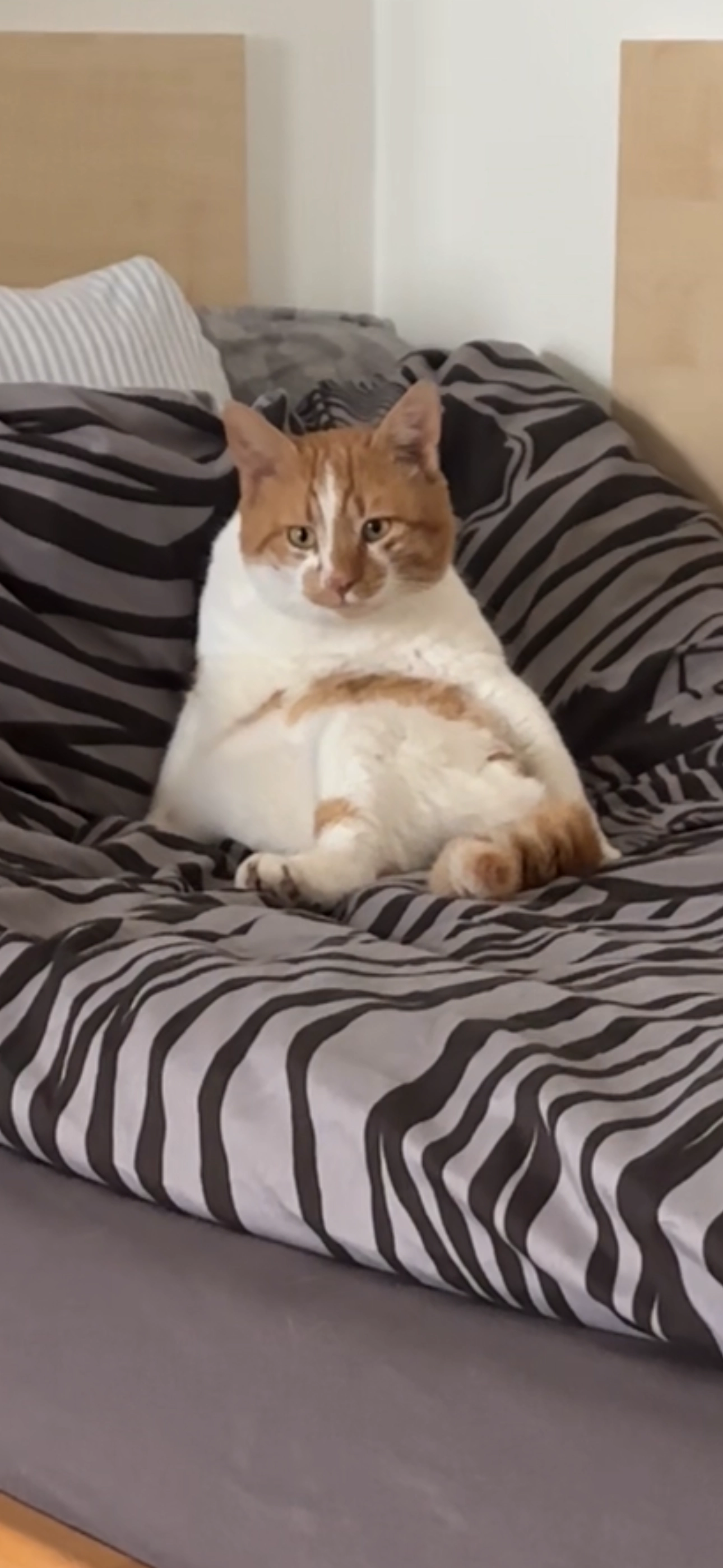 Loui - Adolph-Kolping-Straße, Oberkochen