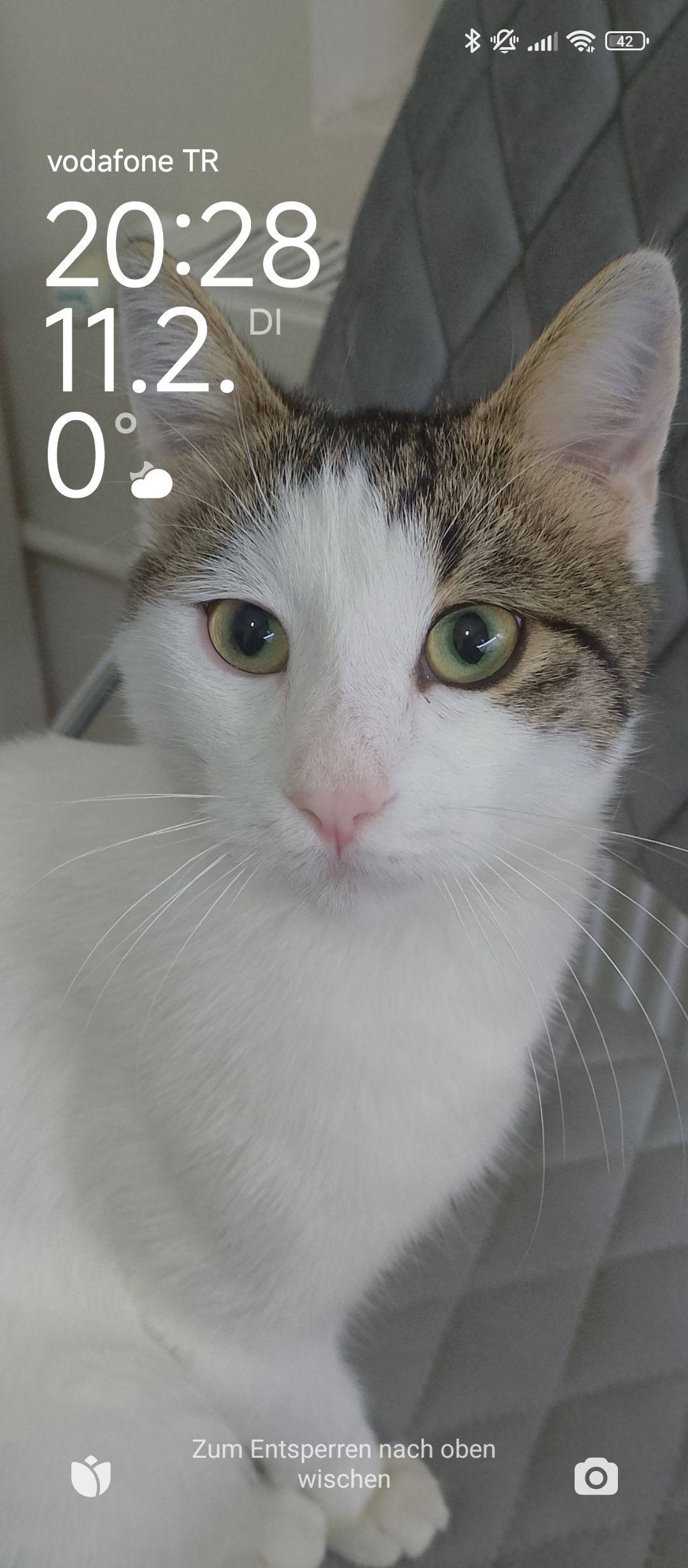 Pauli - Uluharman Caddesi, Ankara