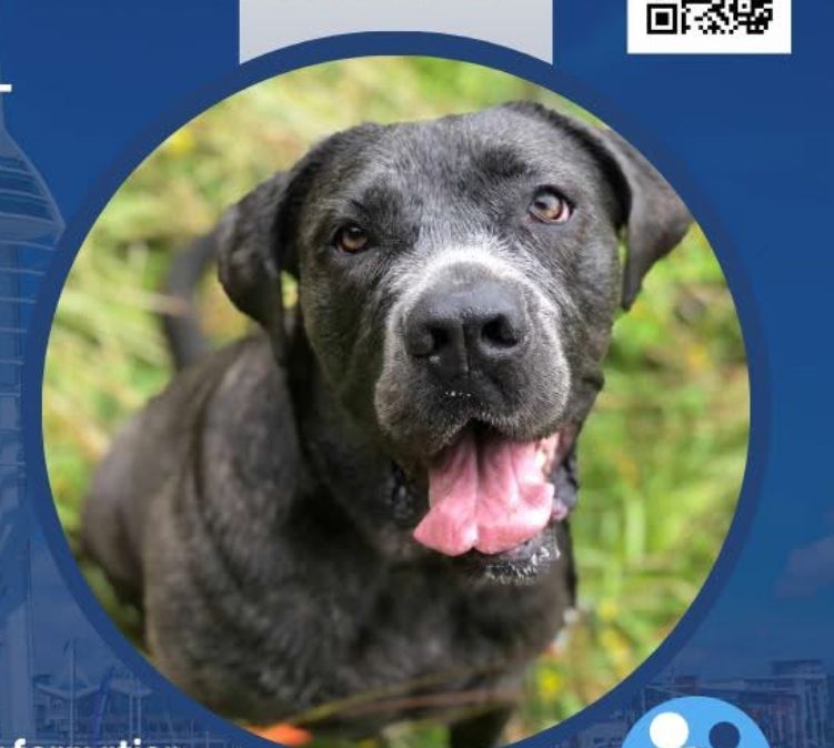 daffers  - Bere Farm Lane, Fareham