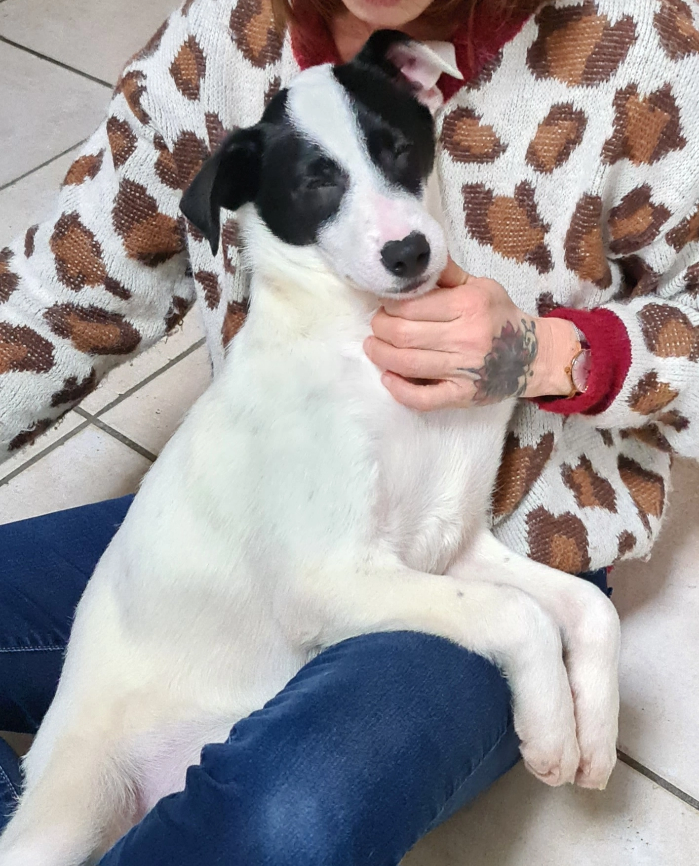 Louna  - 01210, Versonnex