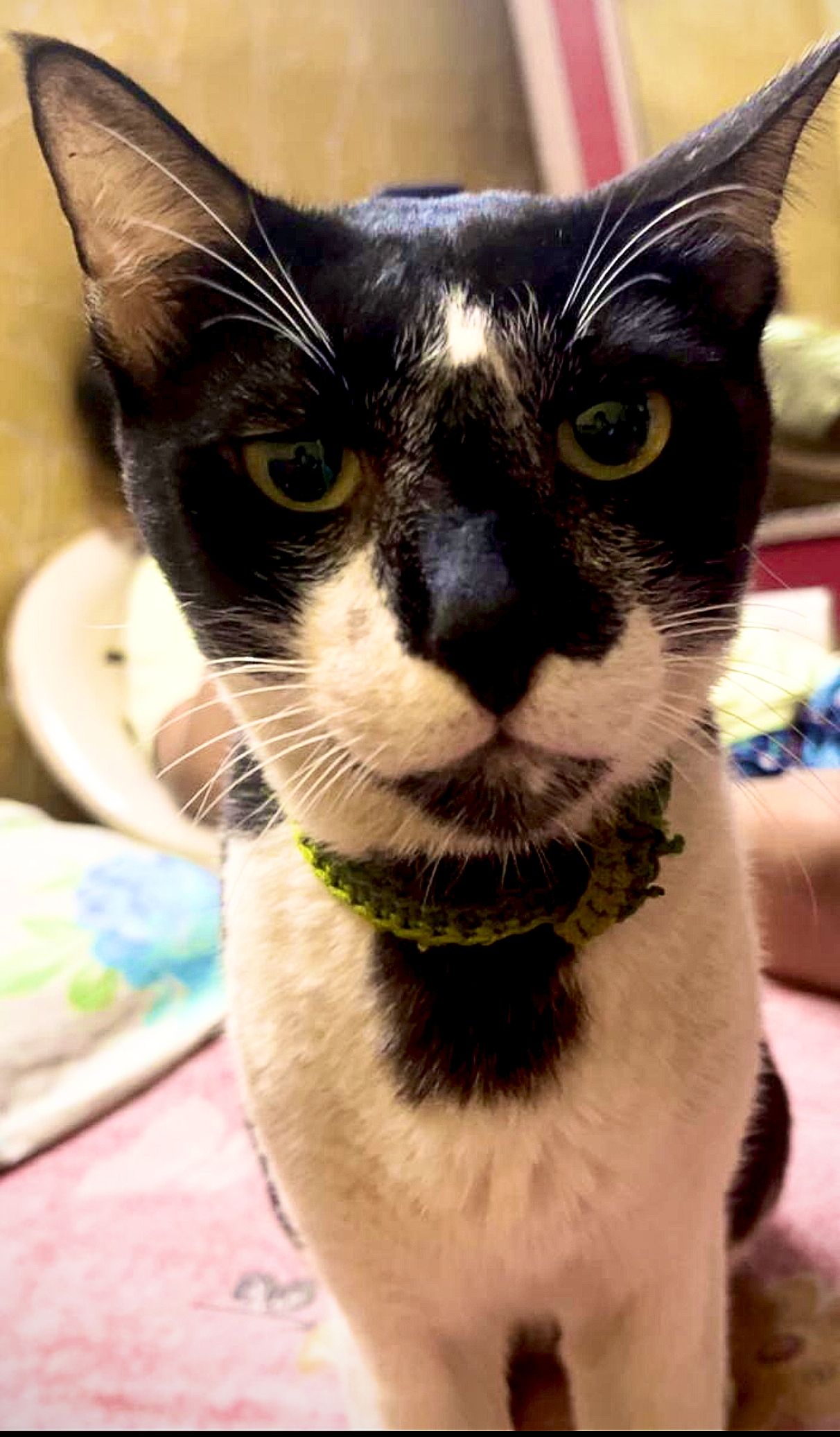 Tommy - Lower Parel Flyover, Lower Parel