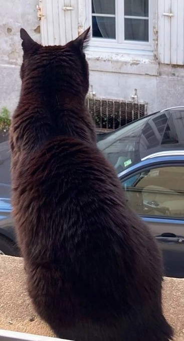 Ébène / Margoulin - 61 Rue de Metz, Cognac